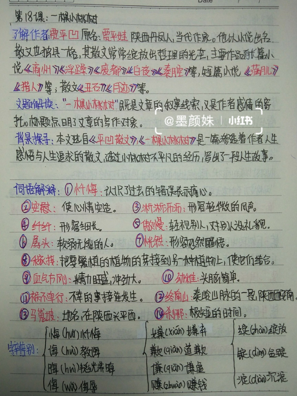 一棵小桃树课文笔记图片