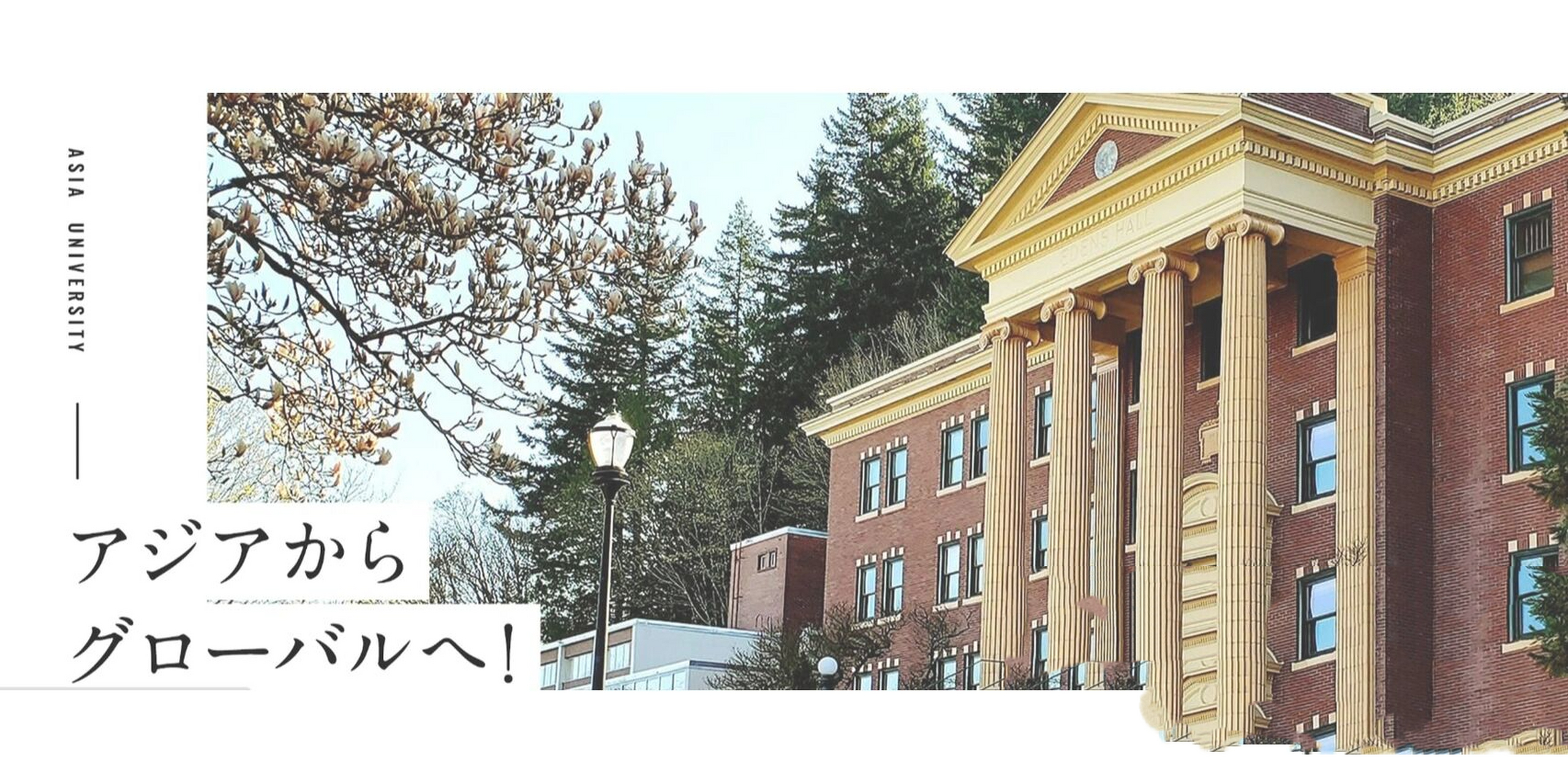 你不太了解的日本优质大学——亚细亚大学 93亚细亚大学是关东五大