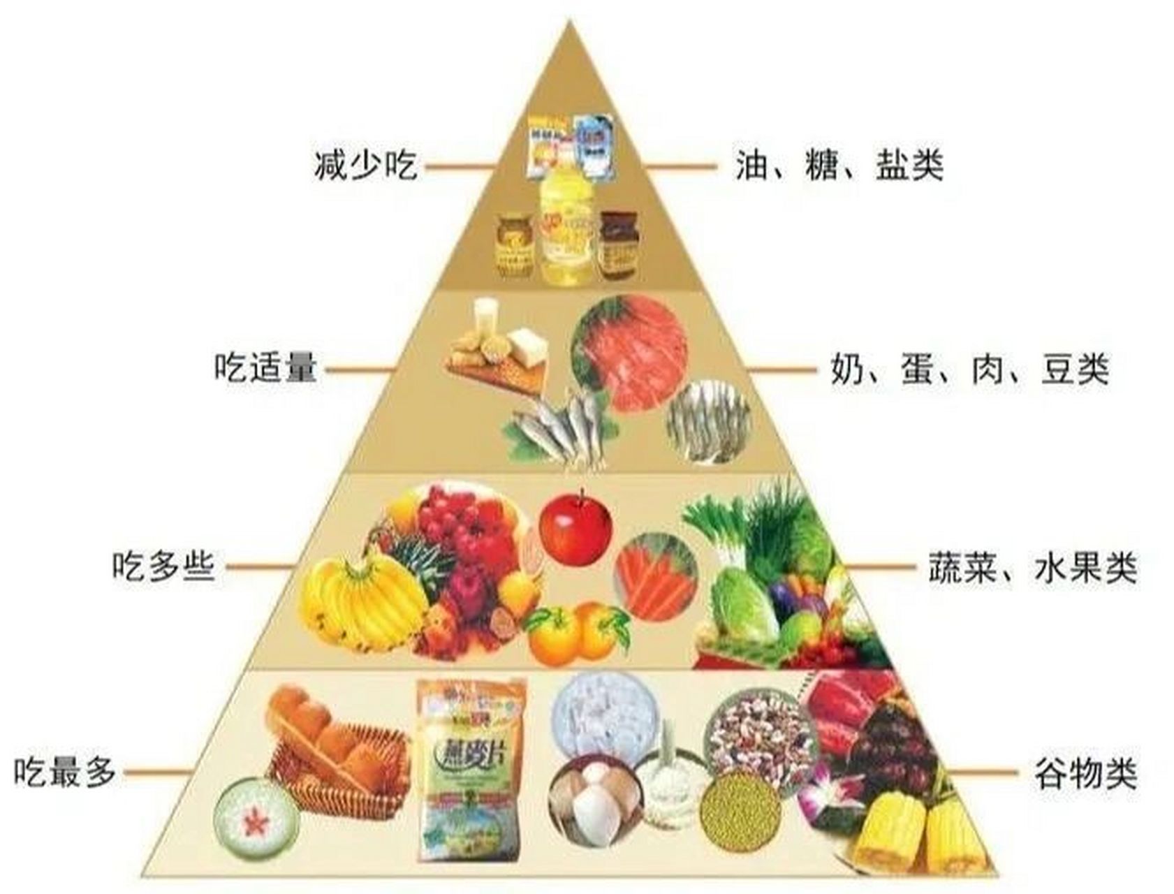 饮食金字塔 合理饮食的重要性,更直观了解营养搭配  引导幼儿文明就餐