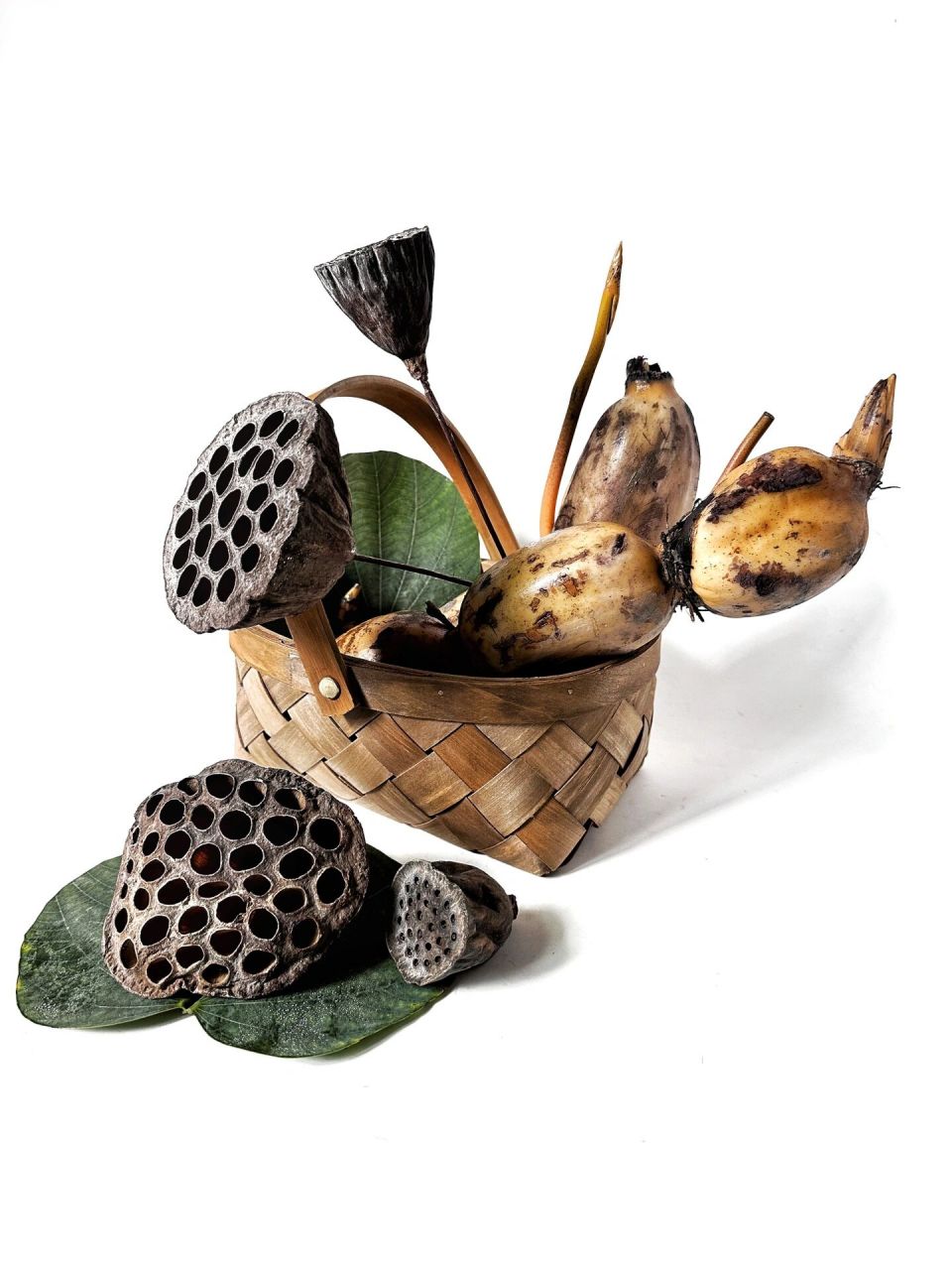 绘画素材1000更&莲藕与莲蓬