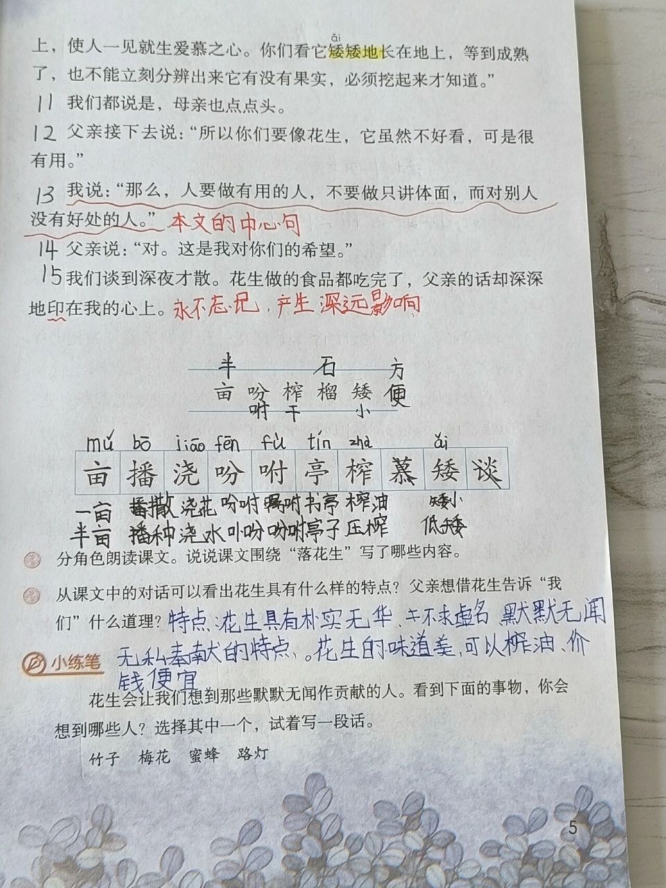 《落花生》预习笔记