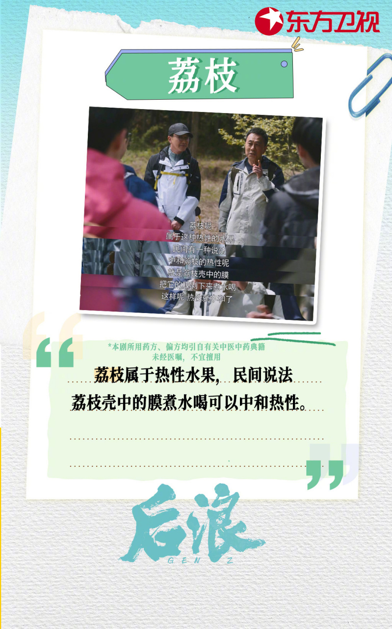电视剧后浪# 小小食材也有妙用,看看剧中对于艾草,荔枝,莲的讲解啊
