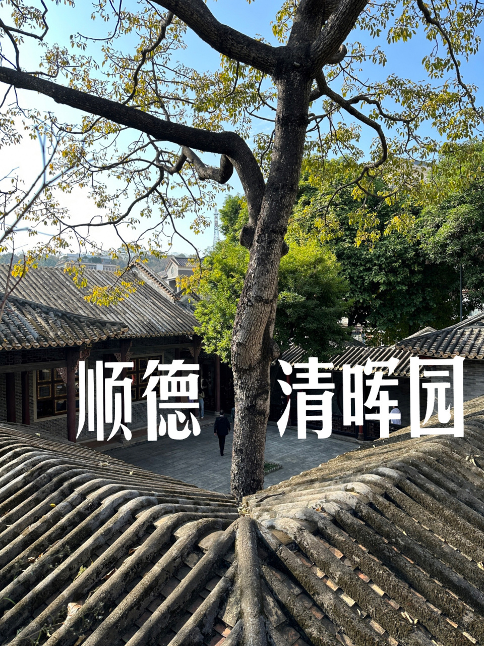 顺德·清晖园 | 岭南四大名园之一 清晖园,位于佛山顺德大良,与佛山