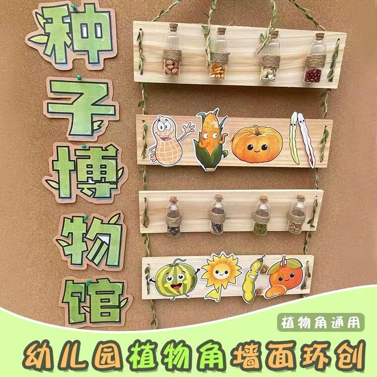 【晨彩装饰出品】种子博物馆-环创植物角