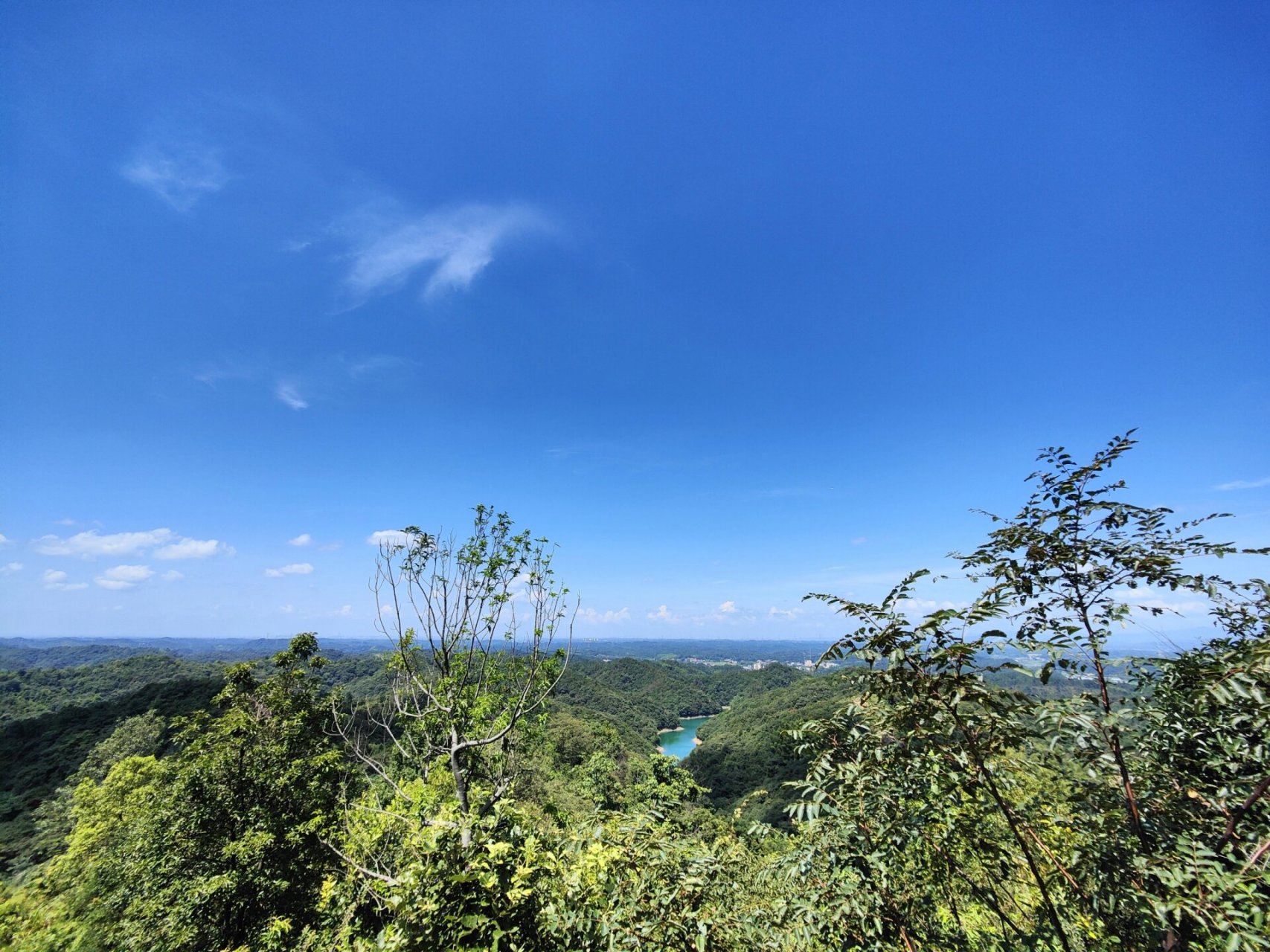 长沙县大山冲森林公园 周末起了个大早去大山冲爬山吸氧