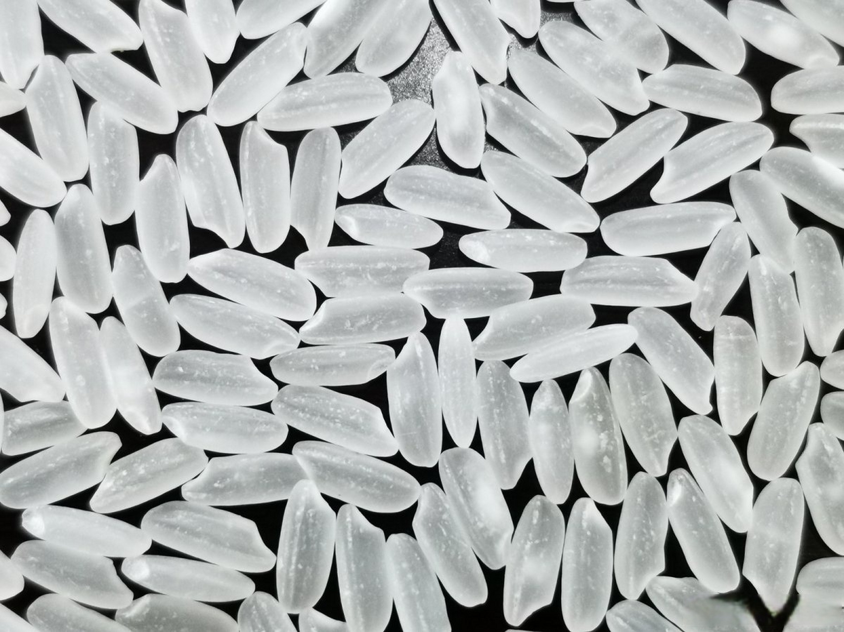 "甬优1540"水稻被列入国家主导粮油品种】宁波新闻 民生快线 小布近日