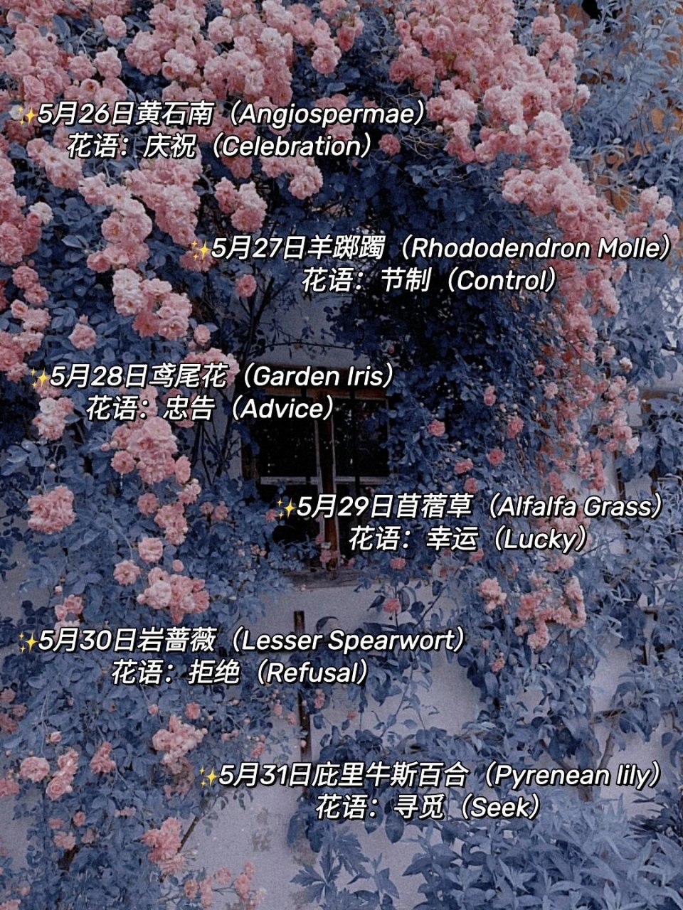 ip) 785月2日野莱菔(wild radish) 花语:统一(unity) 785月3日雉