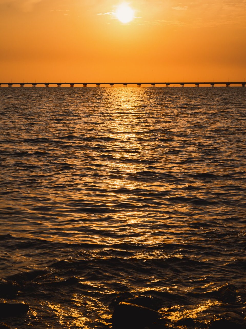 南通通州湾|秋日的黄金时刻,捕捉日出之美 在宁静的早晨 当大地还沐浴