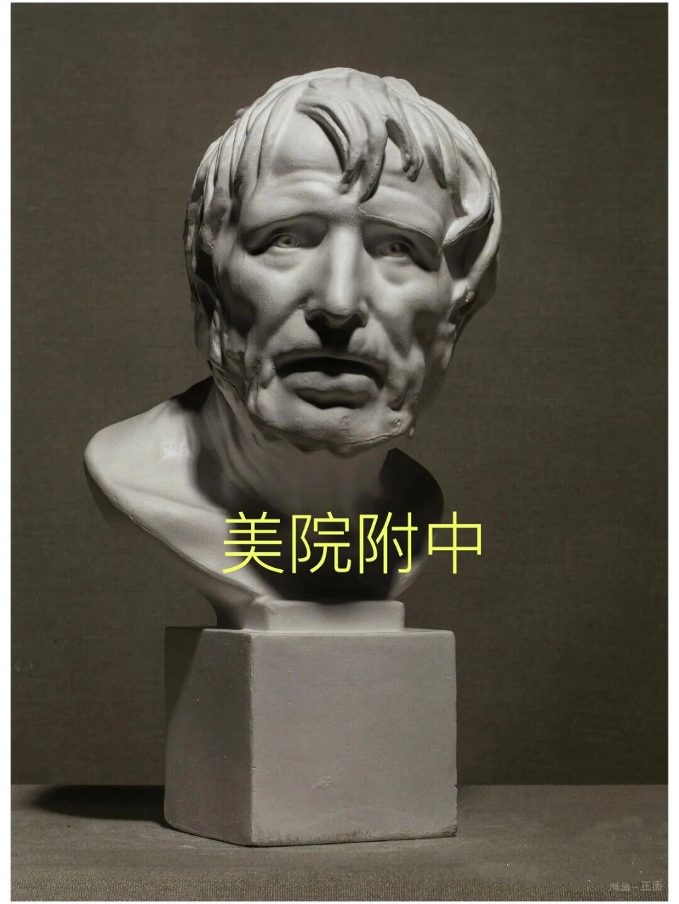 美院附中(塞内卡石膏像)"海盗" 认识石膏像 -塞内卡 塞内卡石膏像 古