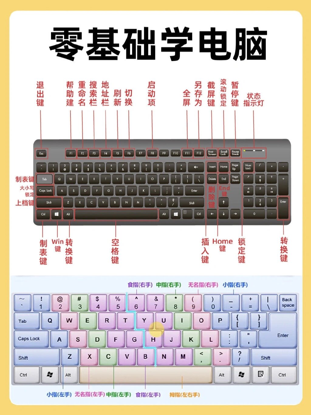 零基础学拼音打字办公软件⌨️先认识键盘🔥