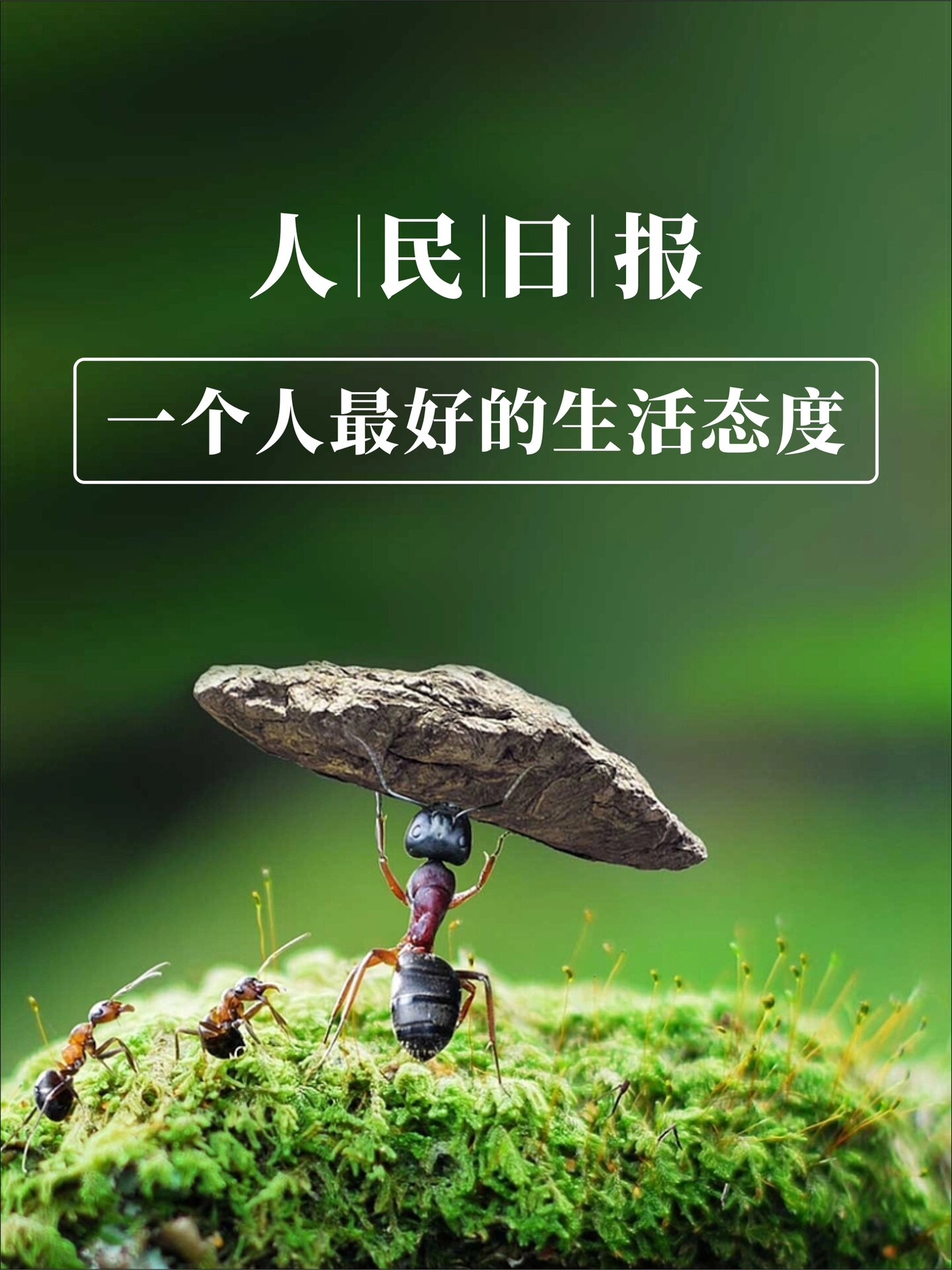 人民日报:一个人最好的生活态度