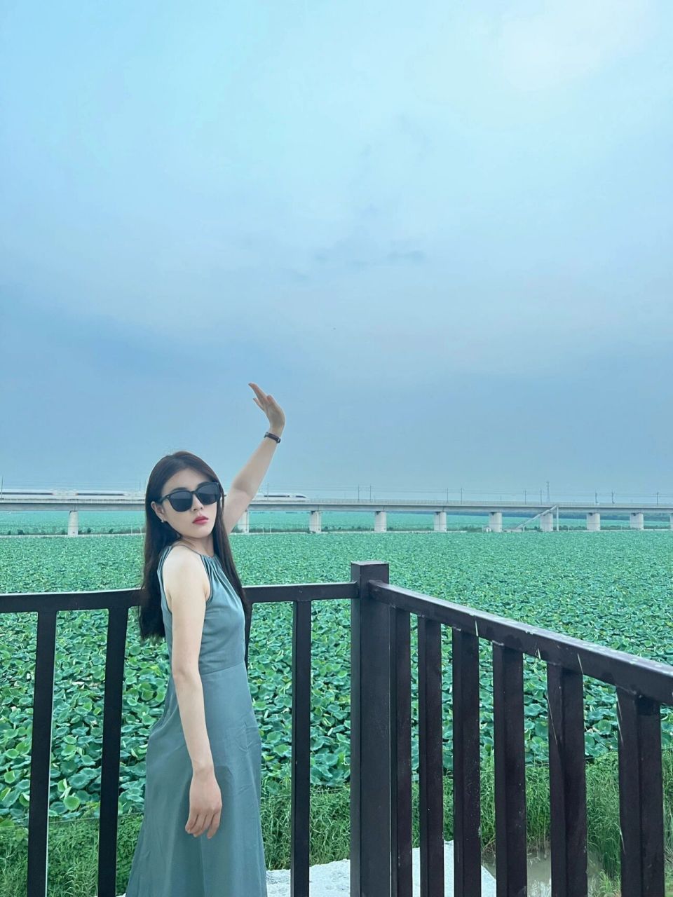 蚌埠淮上区|超级好看打卡的荷花池03 在蚌埠也有这么美的荷花池03