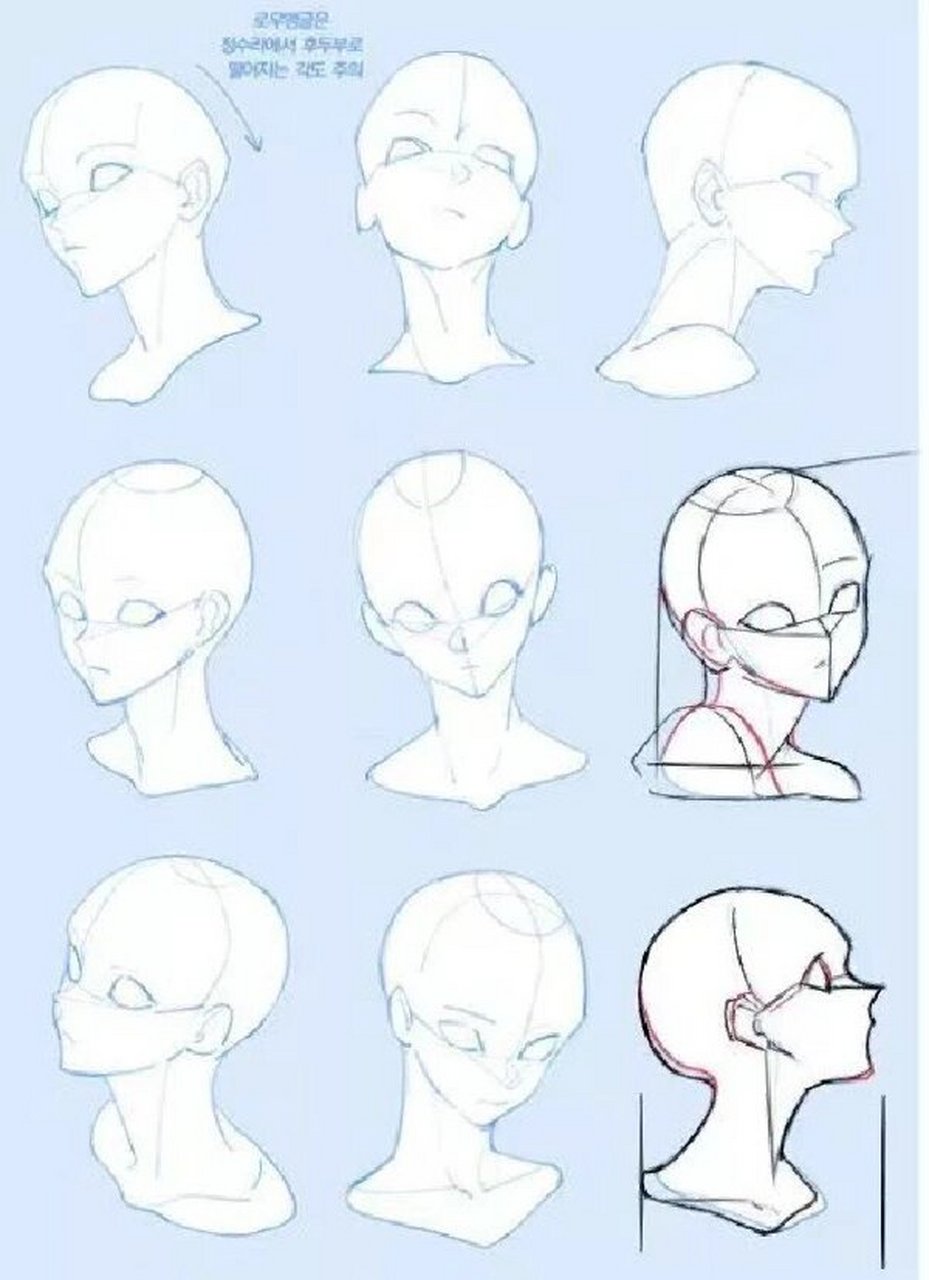 了解头部比例画好头部!