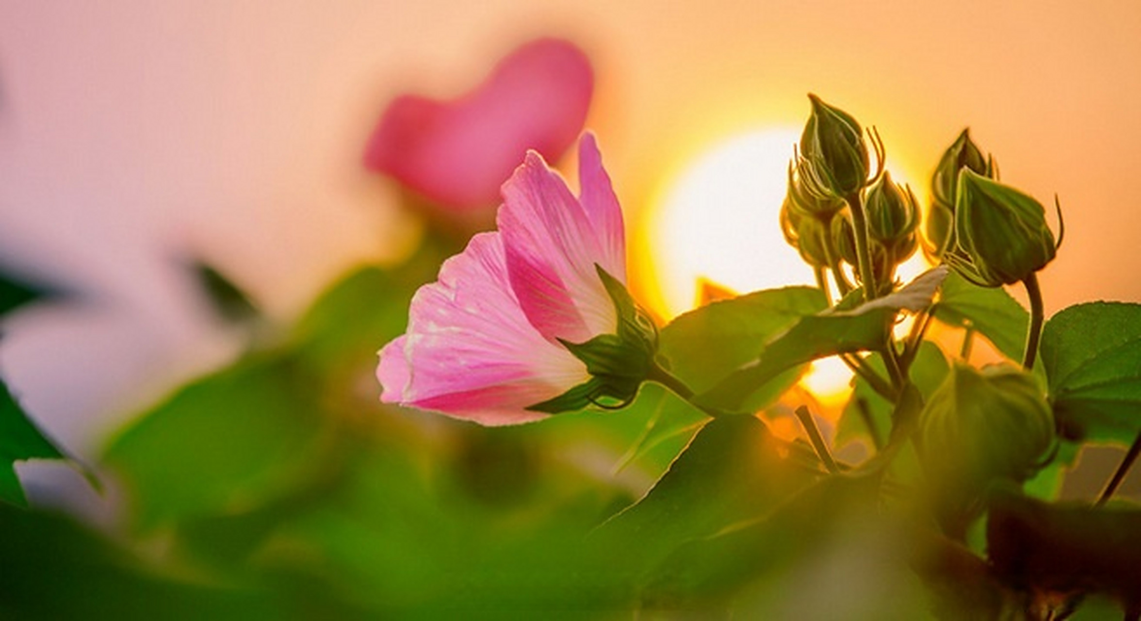 早安# 好的运气从早晨开始,崭新的心情迎接崭新的一天.