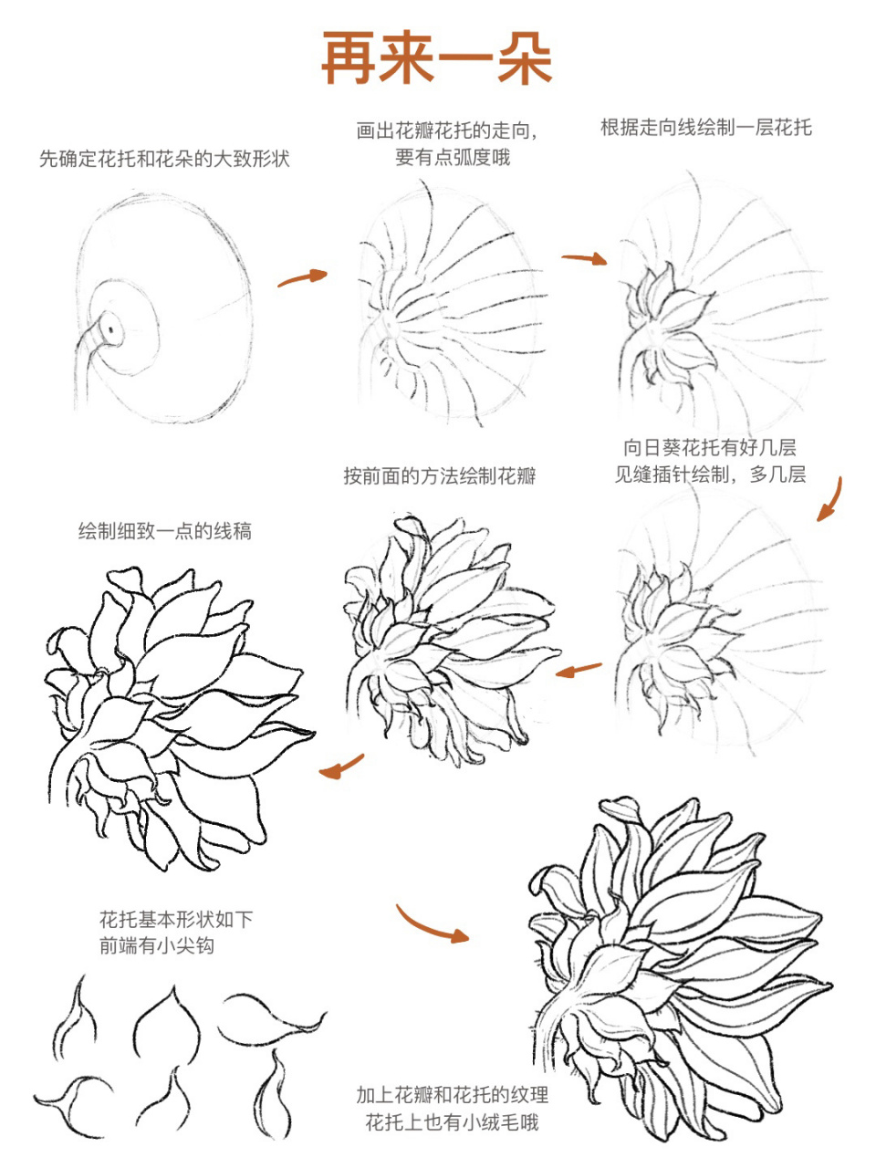 花朵速写写生图片