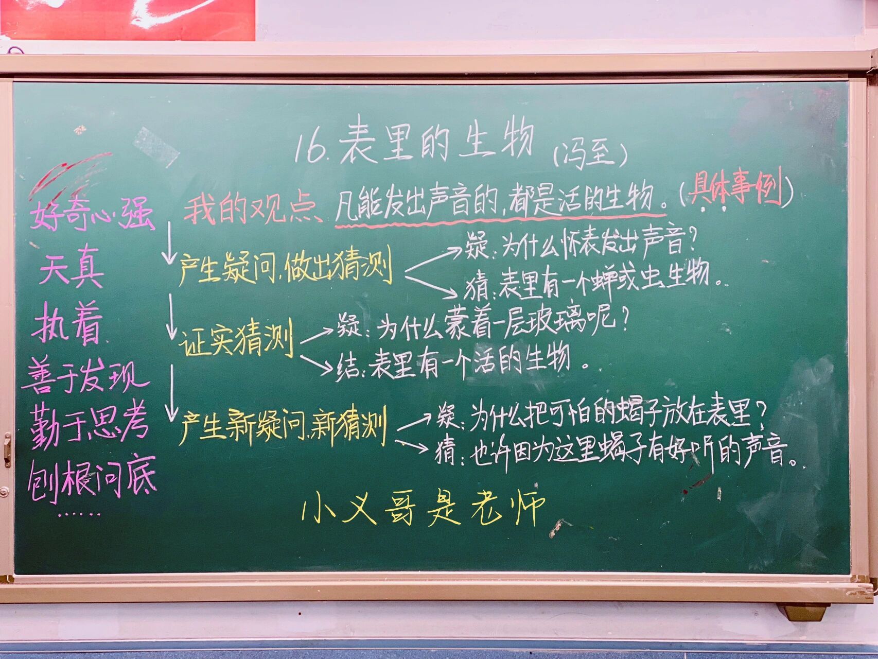 語文課|表裡的生物 【語文課】一篇很有趣的回憶性敘事散文,卻隱藏著