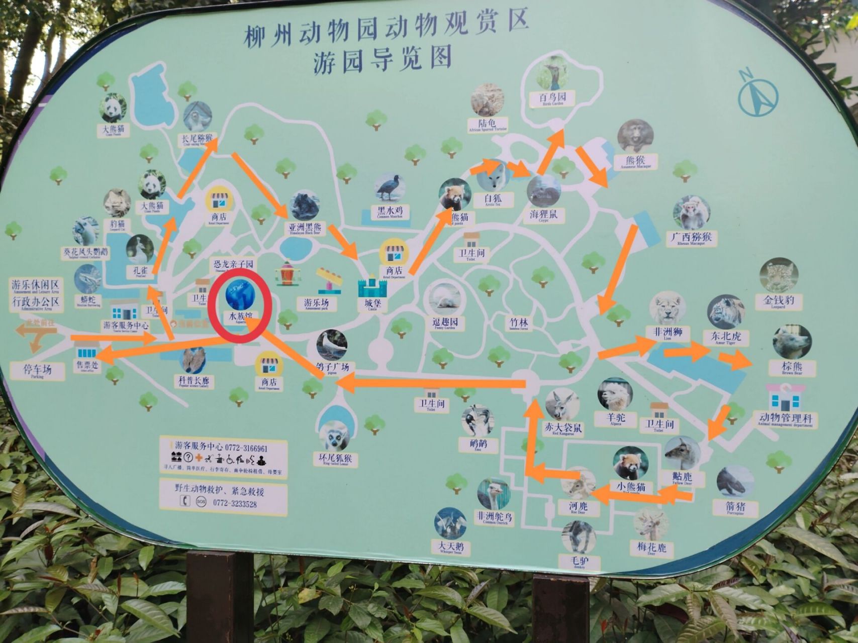 动物园各馆的开馆时间(图四)! 3.