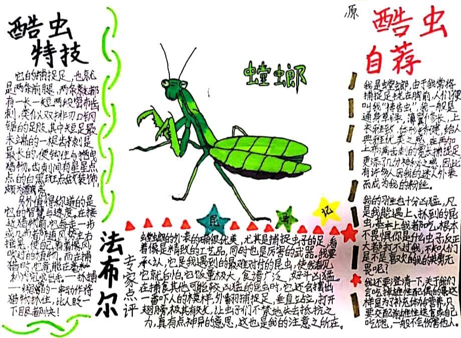 评选《昆虫记》酷虫之最