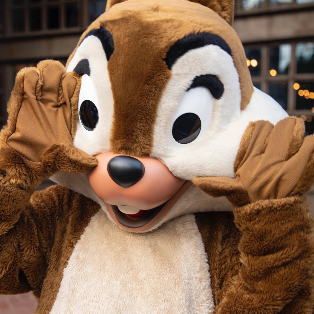 花栗鼠头像11.26