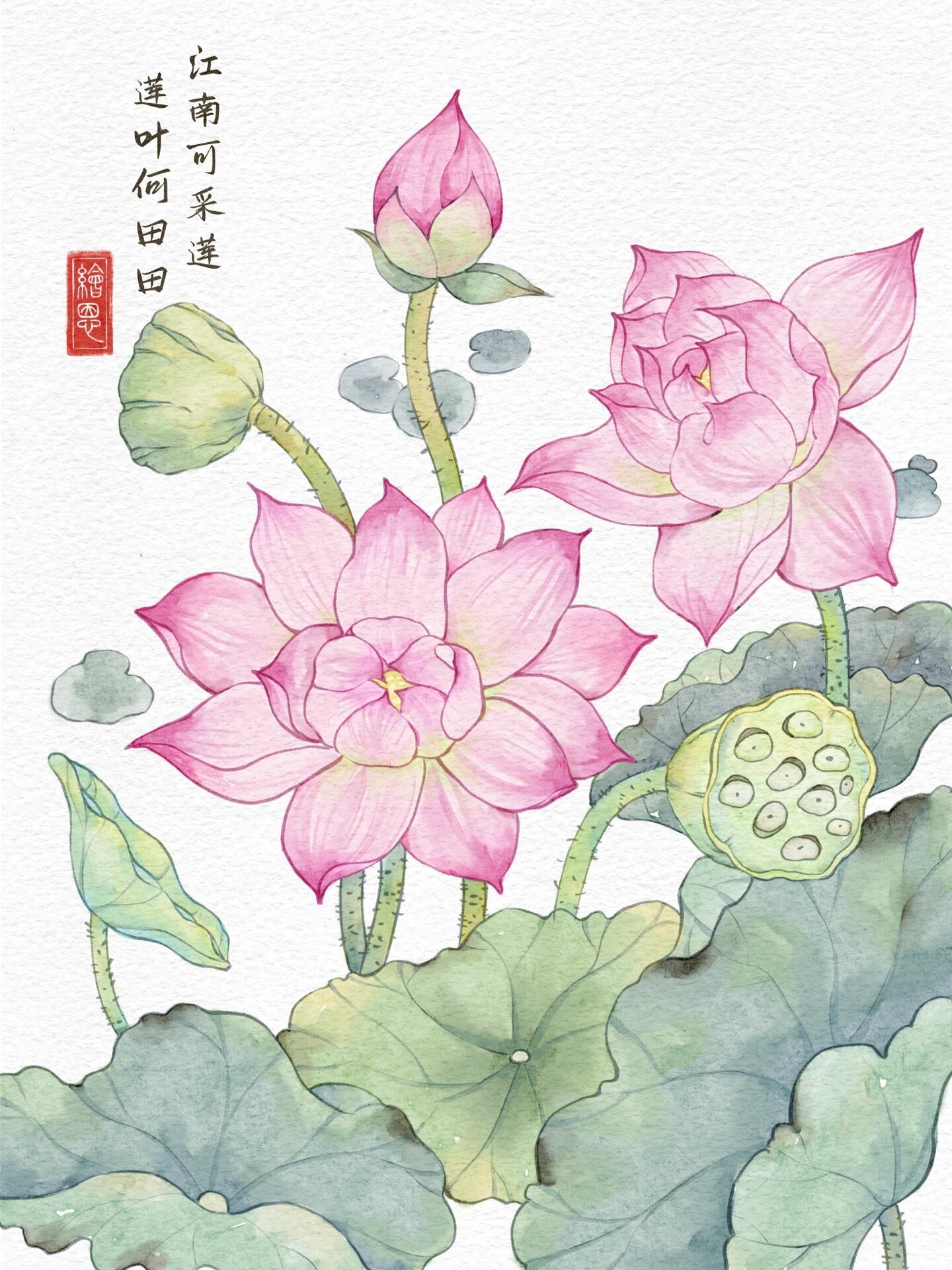 03ipad水彩|国风荷花|插画合集   夏日滤镜