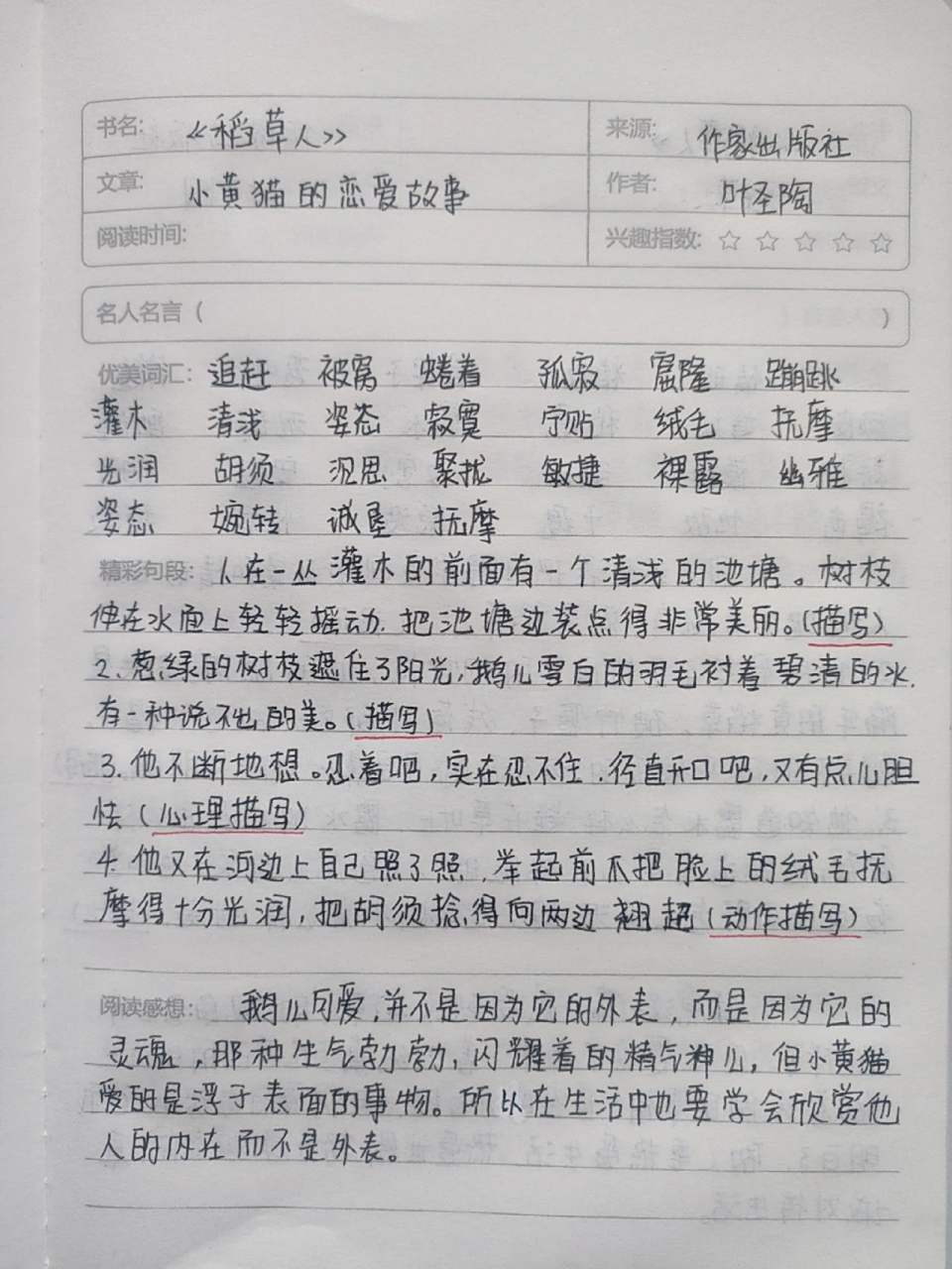 稻草人读书笔记手写笔记 《稻草人》读书笔记小黄猫的恋爱故事,花园外
