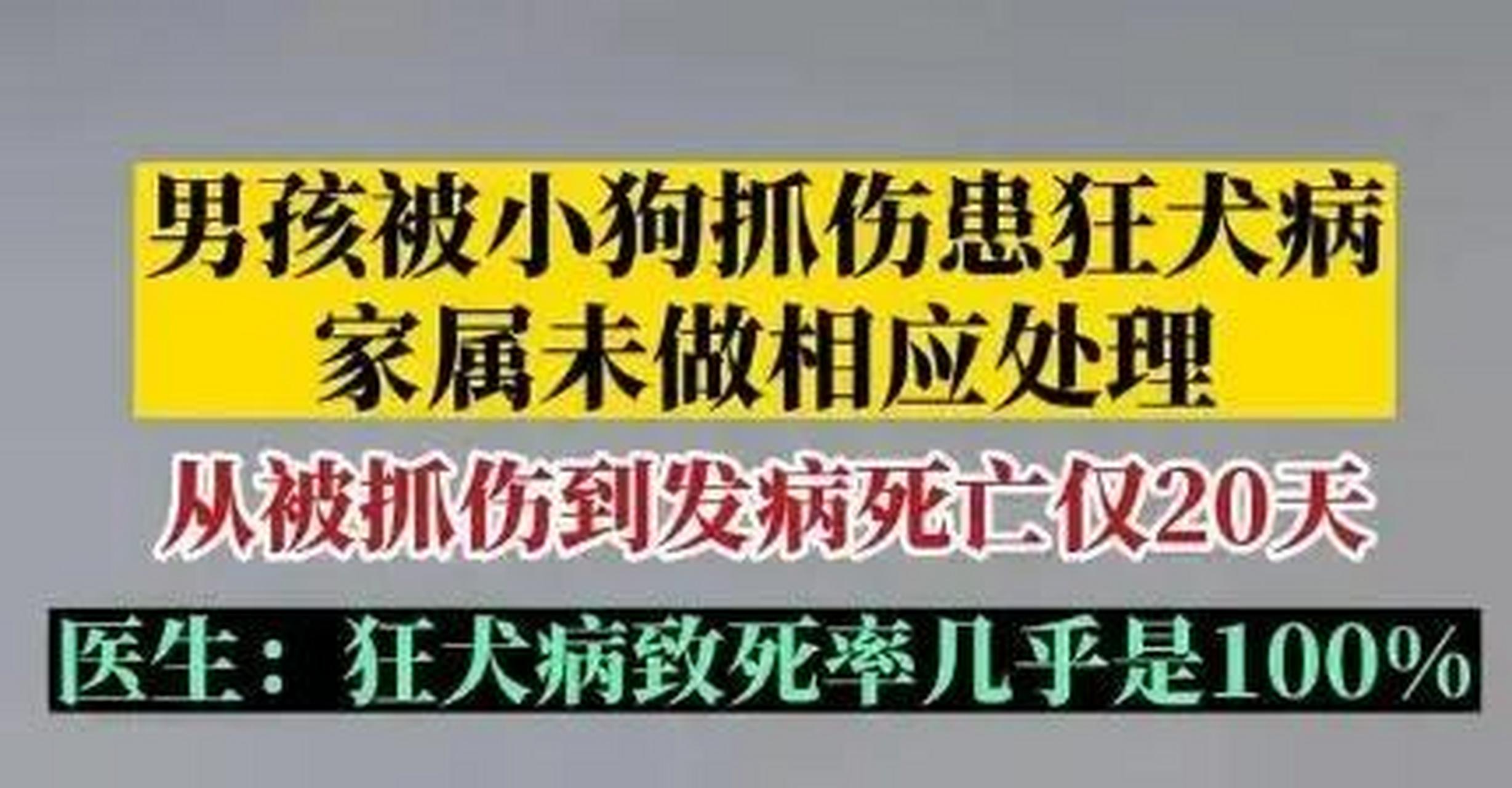 一男孩被狗抓伤,20天后死亡,死因为狂犬病发作!