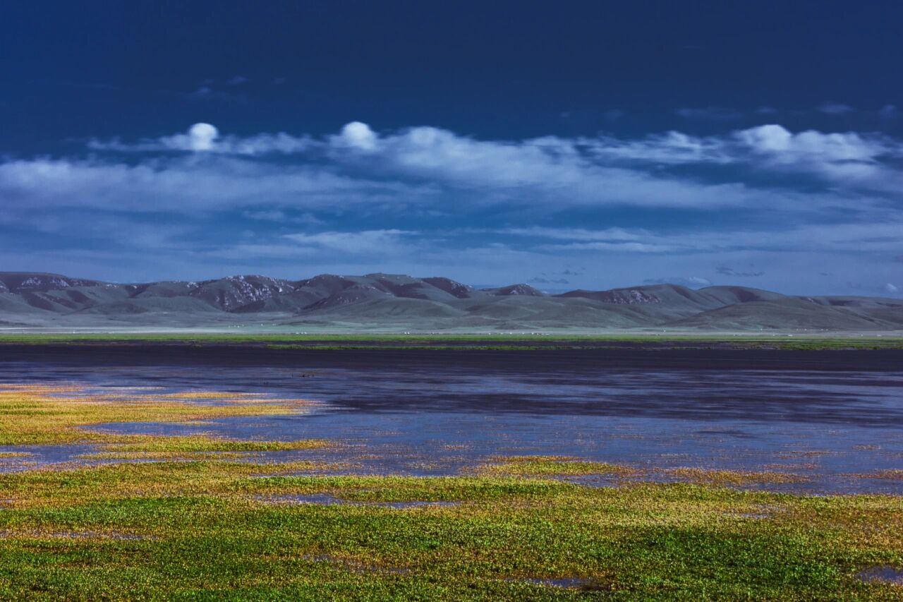 6月甘南环线自驾游(含洛克之路)总结篇 自驾时间:2021年6月27日-7月3