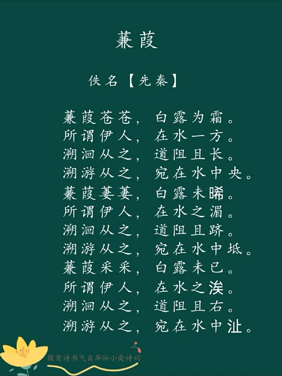 每日一诗词 |98《蒹葭》诗经 96译文: 大片的芦苇密又繁,清晨的