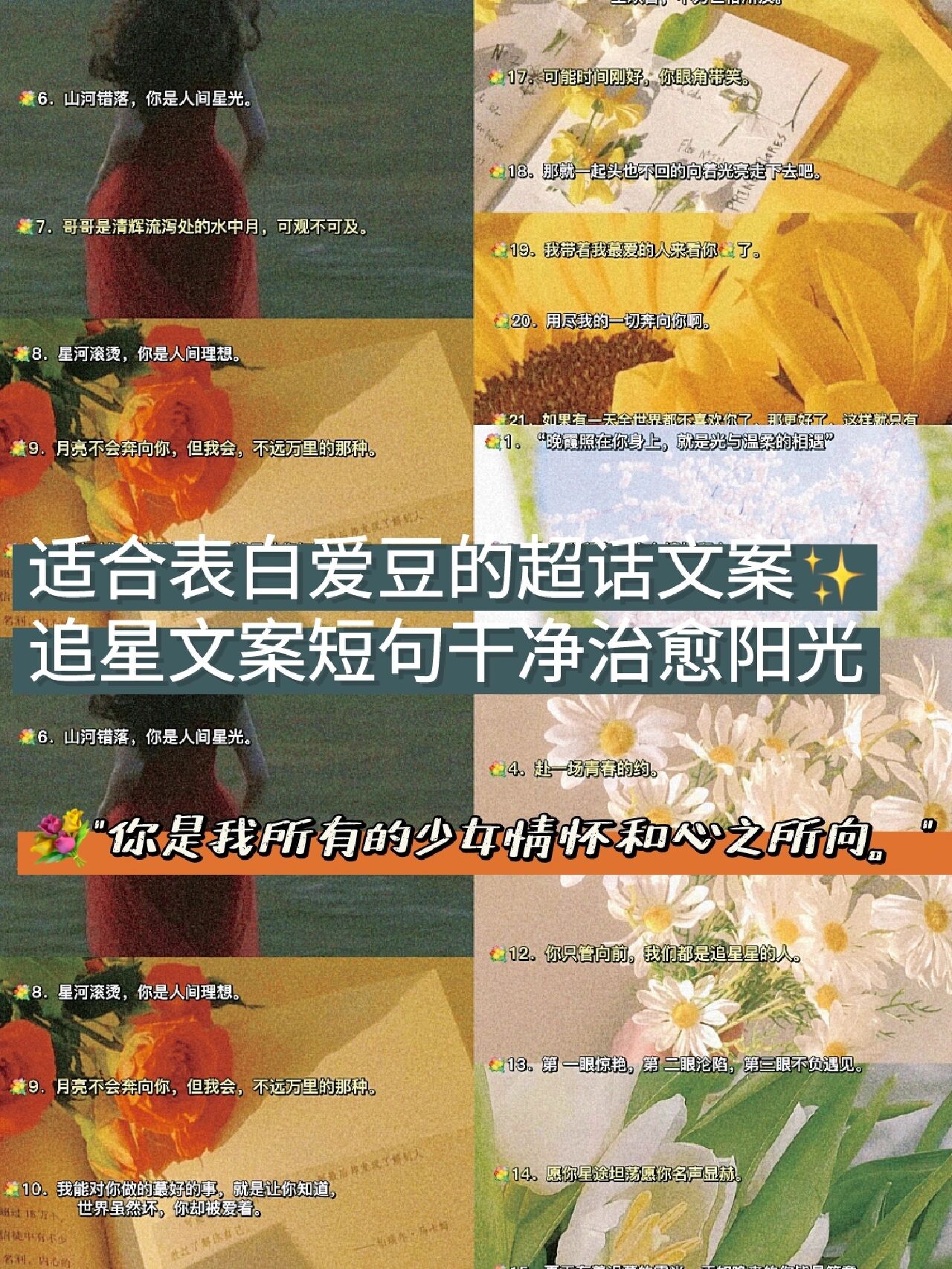 追星激励句子大全简短(追星励志语句)