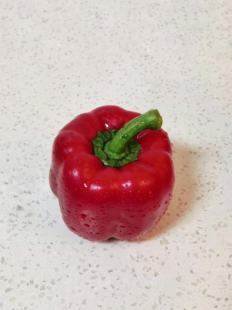 红彩椒(绘画素材) 炒菜时发现这个红色的彩椒很好看,随手放在锅台上