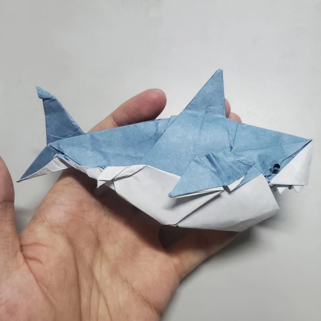 折一只可爱的小鲨鱼 设计者:fernando chura 用纸:24cm教育折纸