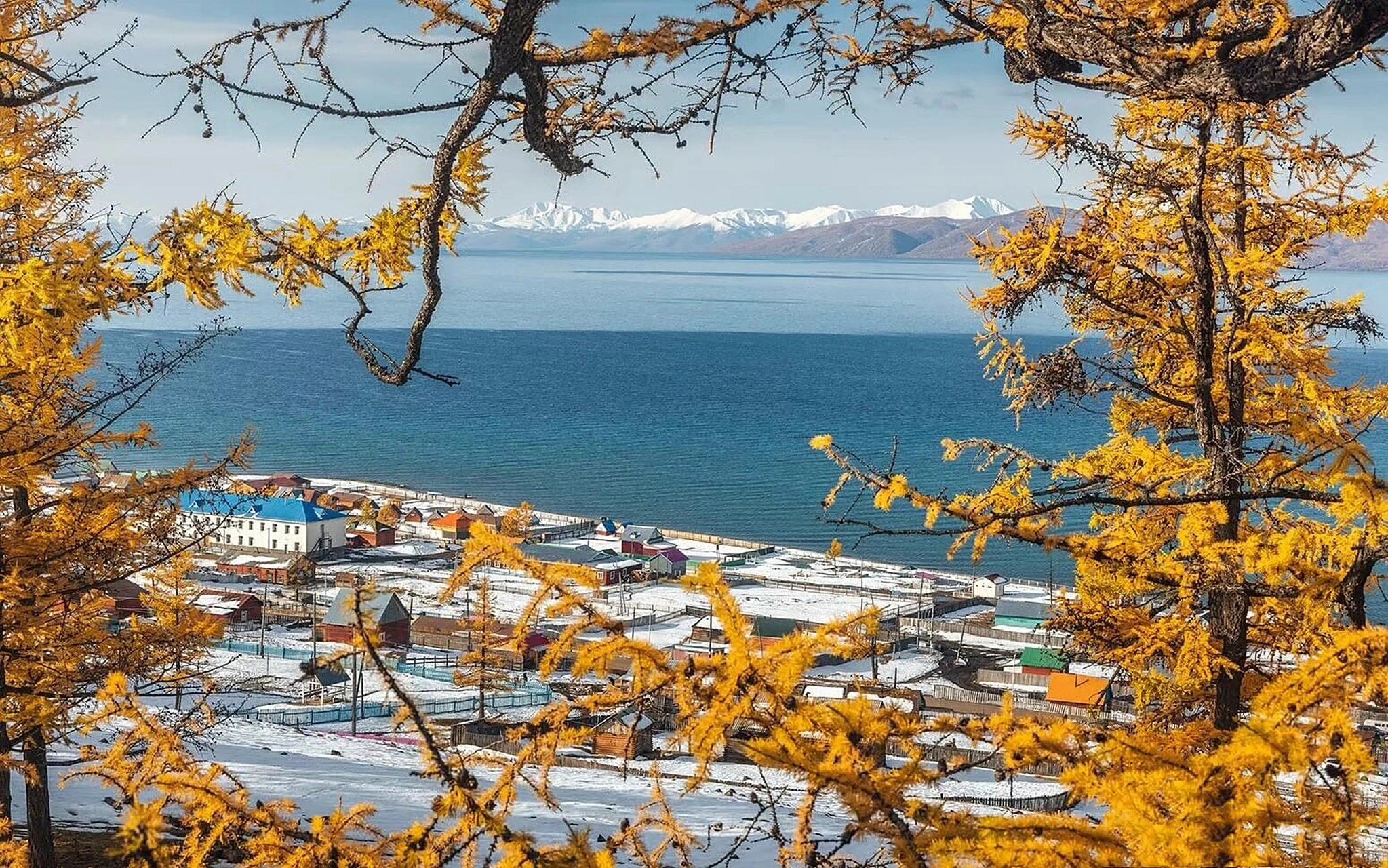 蒙古国的风景如诗美如画 美到令人陶醉 库苏古尔湖秋景真是太美了