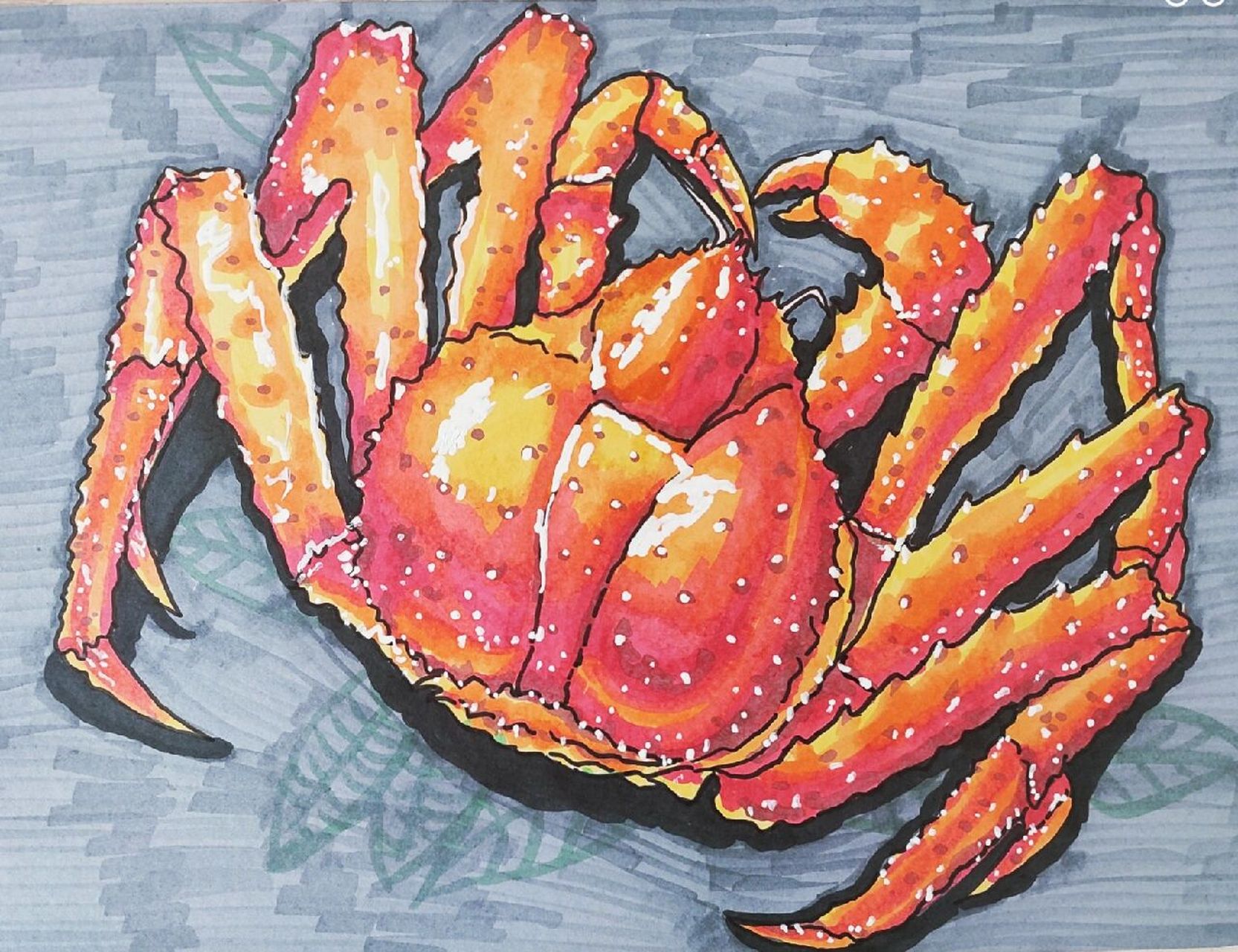 这辈子没吃过帝王蟹,画一只解解馋!       一直想买一只尝尝,舍不得啊