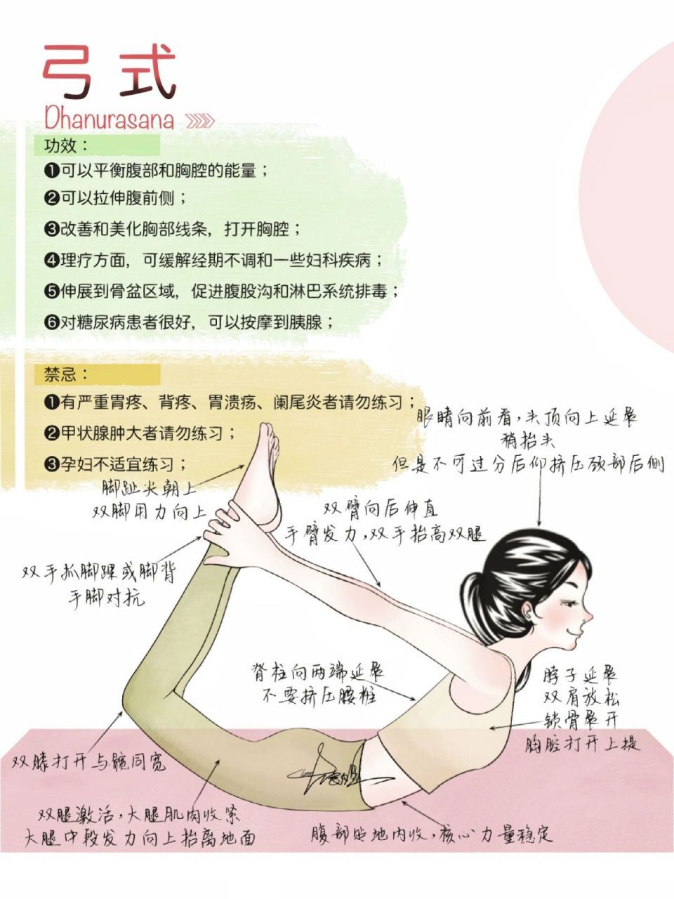 瑜伽教培笔记|弓式(伏案久坐人士必练) 弓式相对来说属于进阶类的体式