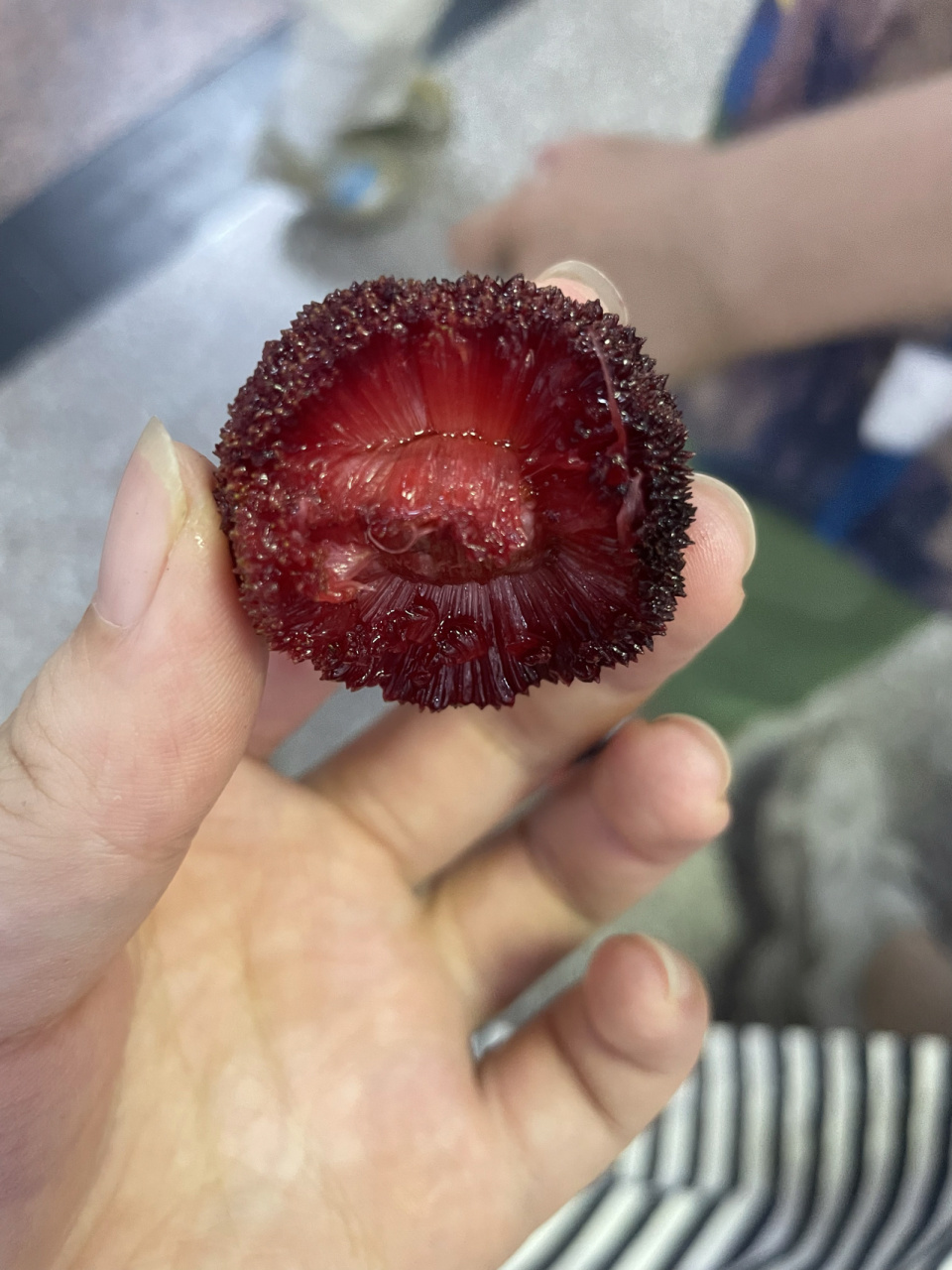 大仙居的东魁杨梅 这口感真的是太棒了!酸甜可口!