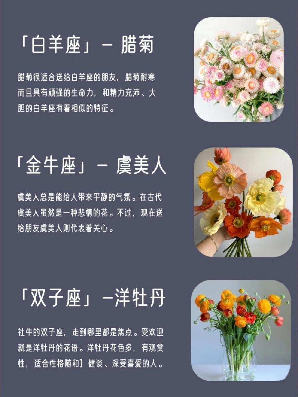 科普贴 十二星座本命花 一定要知道的十二星座的本命花 除了玫瑰,百合