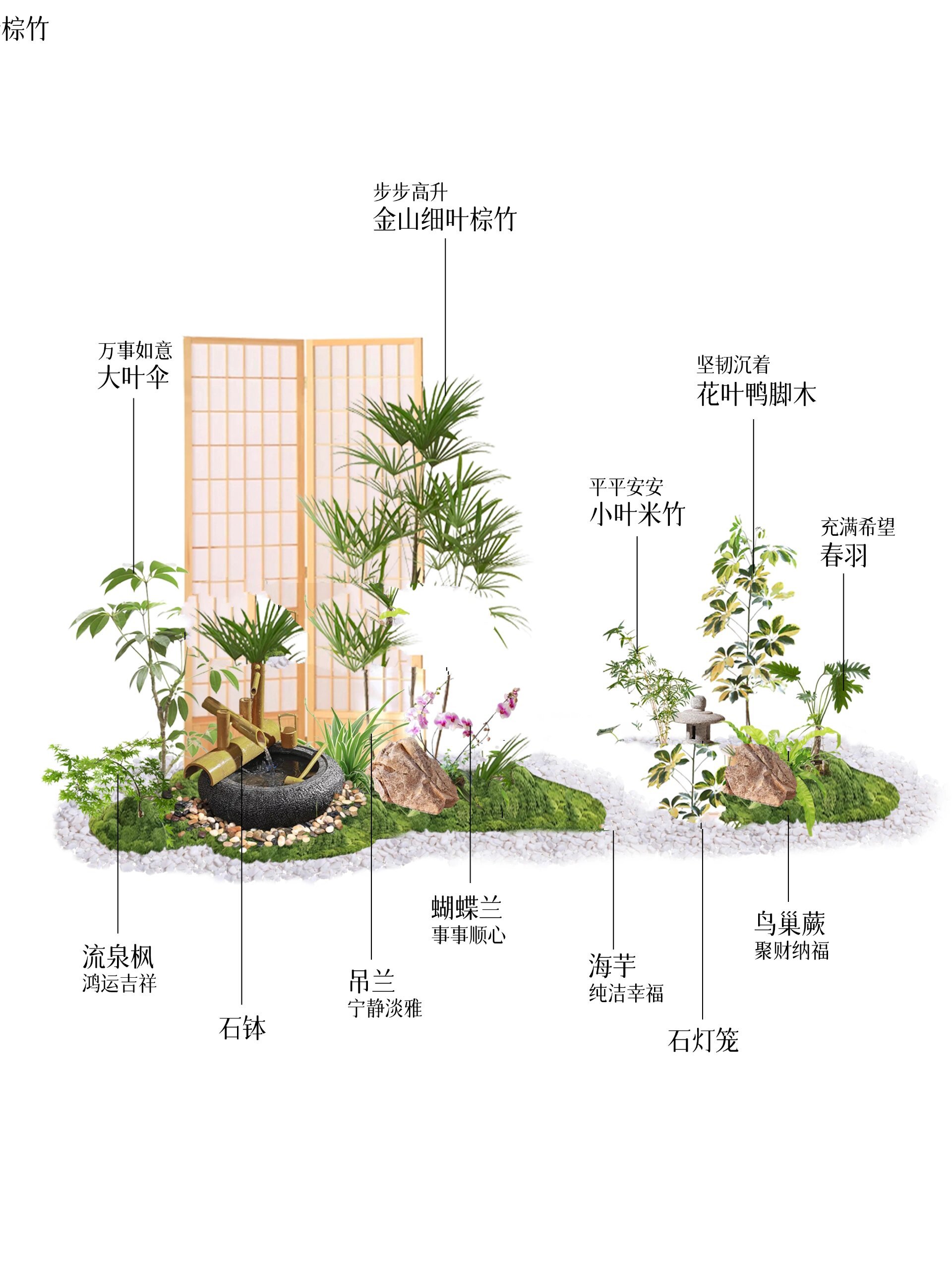 植物造景的美学原理图片