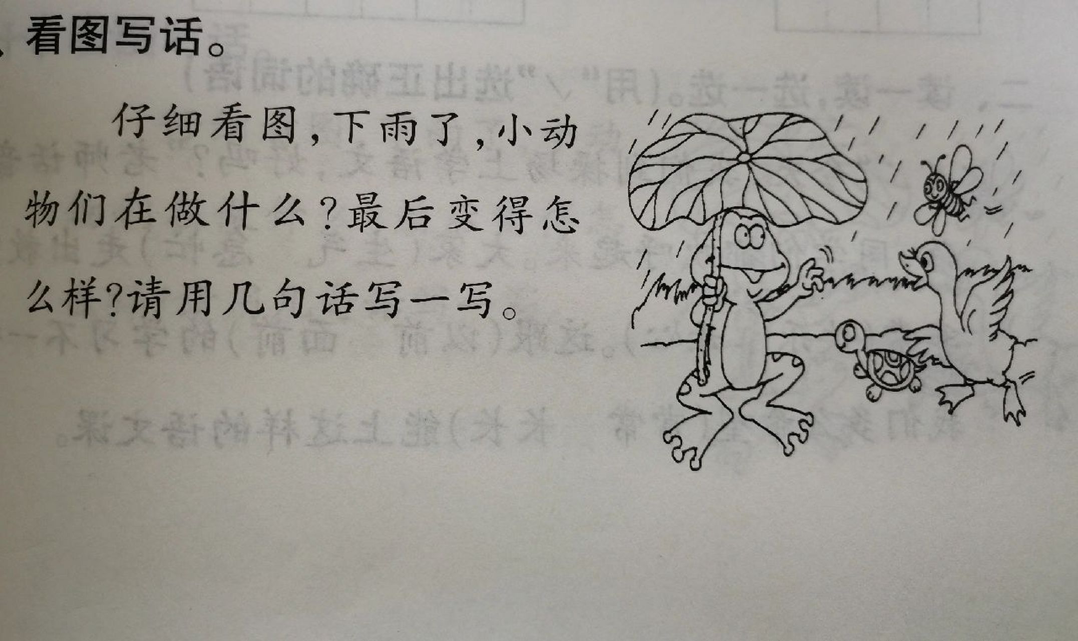 看图写话:下雨啦! 看图写话:下雨啦!