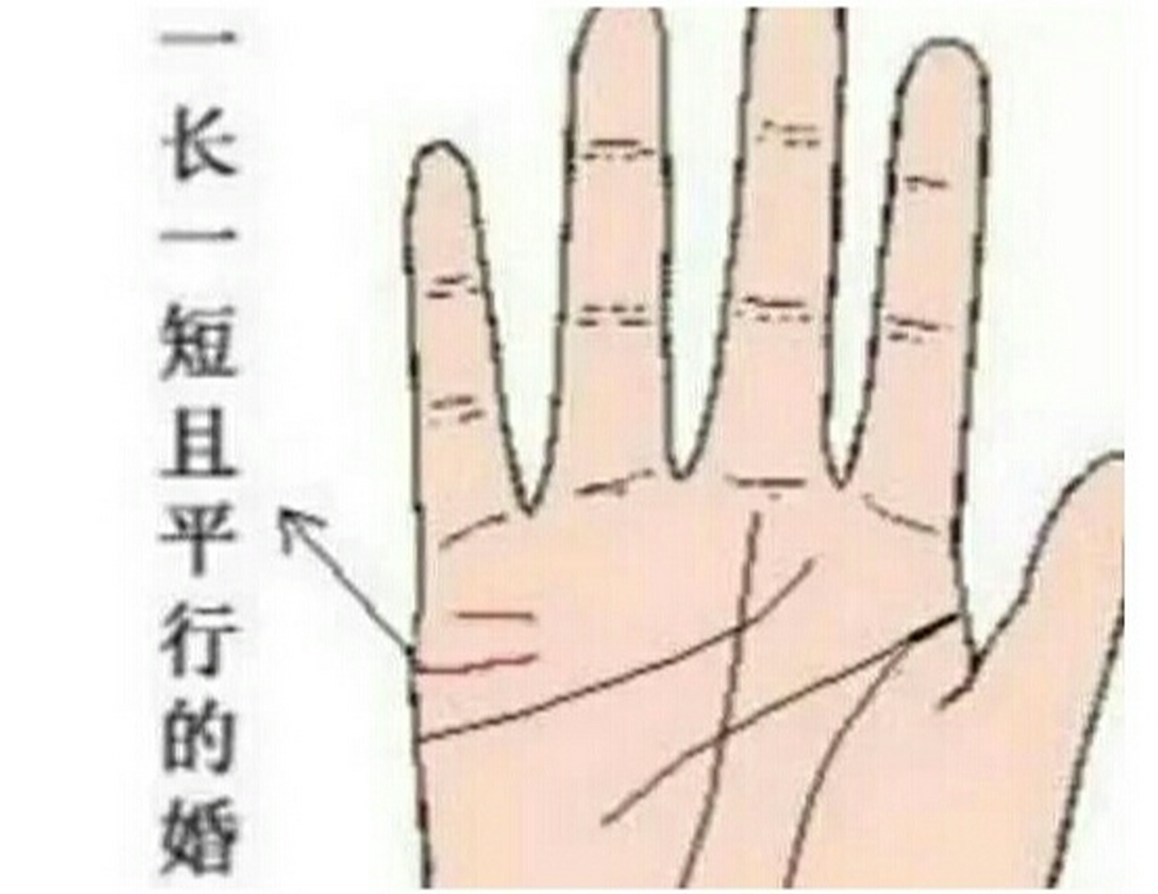 两条姻缘线,如果是深浅不一样距离过近,表示有再婚之相.