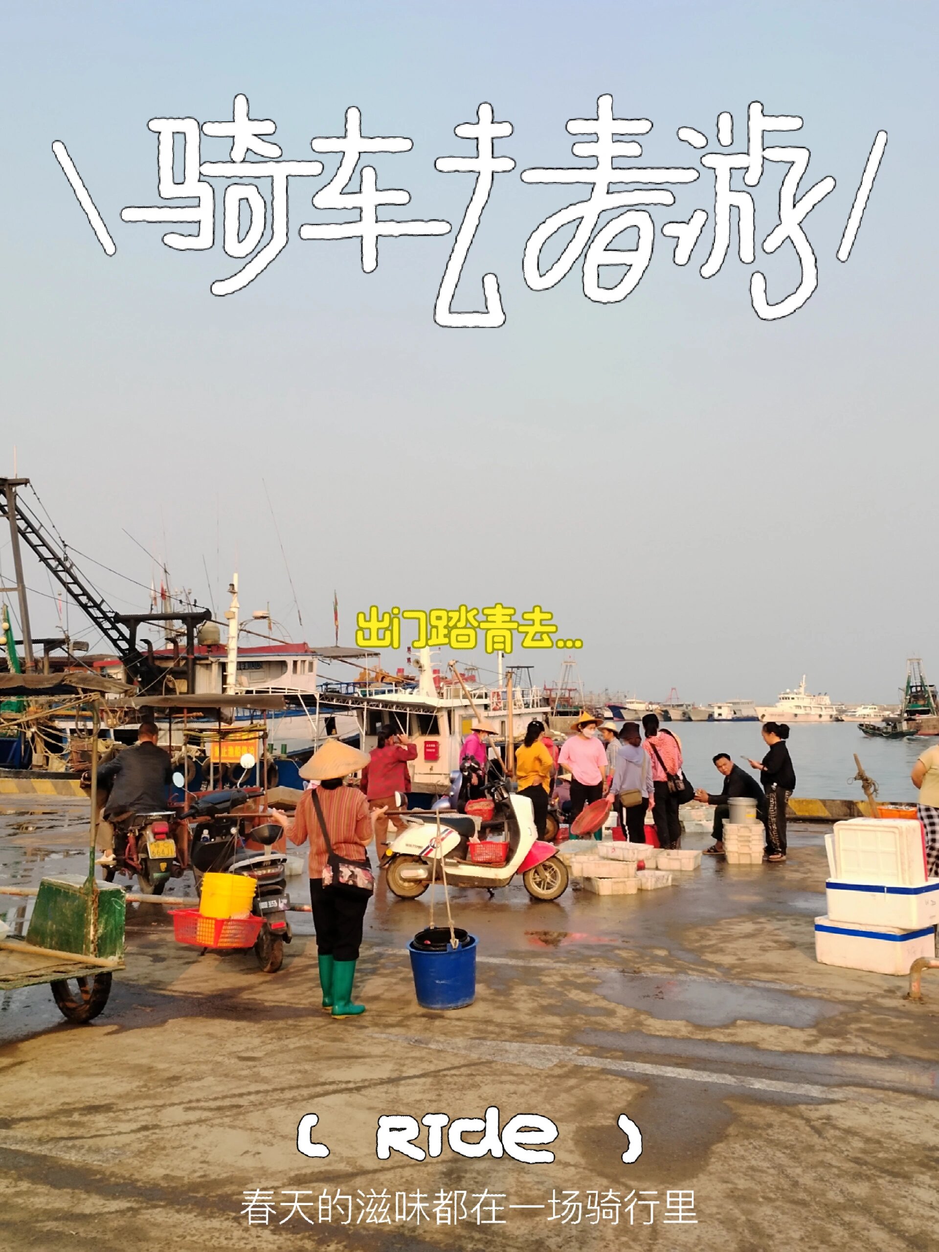 临高新盈码头去买点海鲜