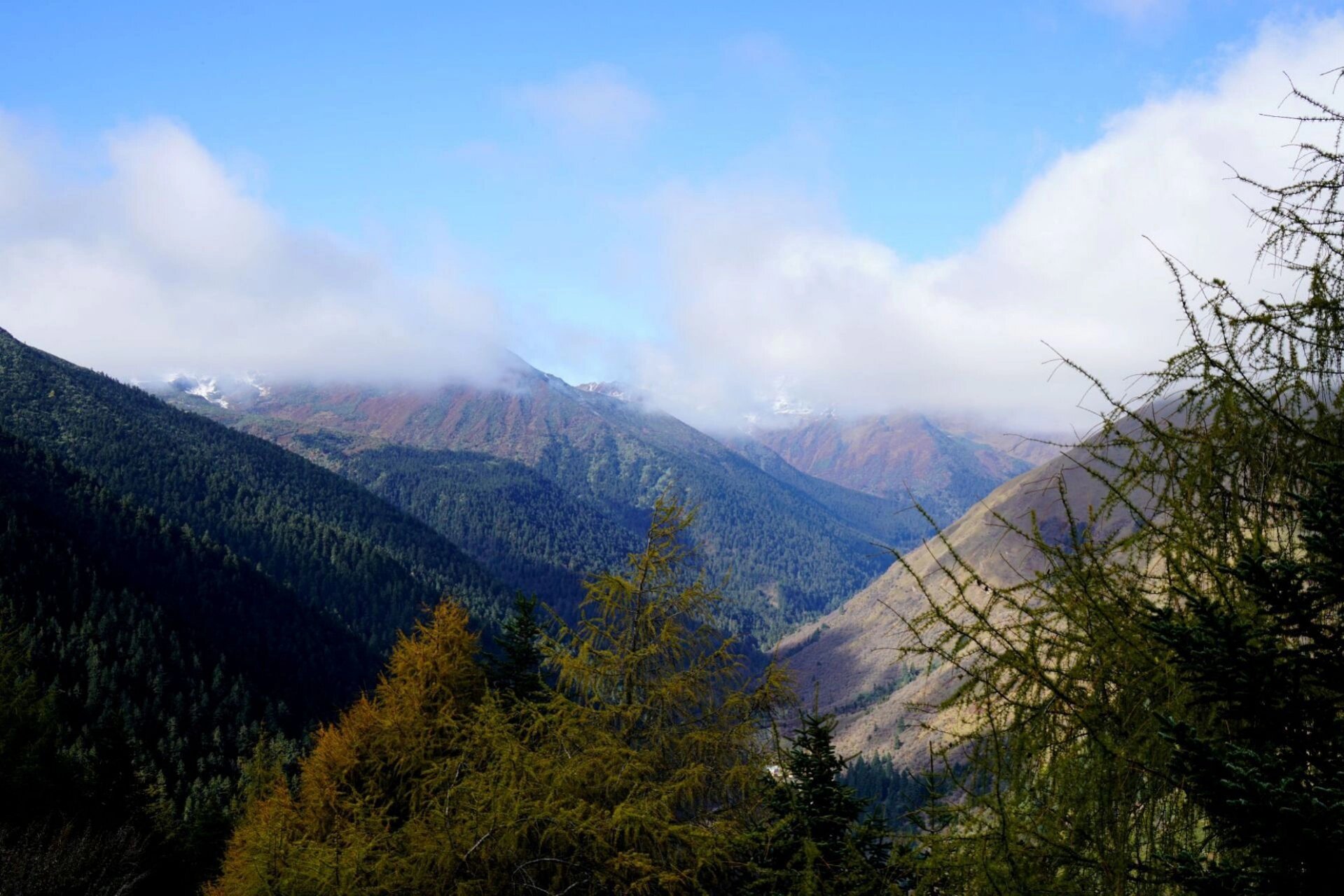 中国自然地理(26)—夹金山国家级森林公园 地理位置:夹金山国家级森林
