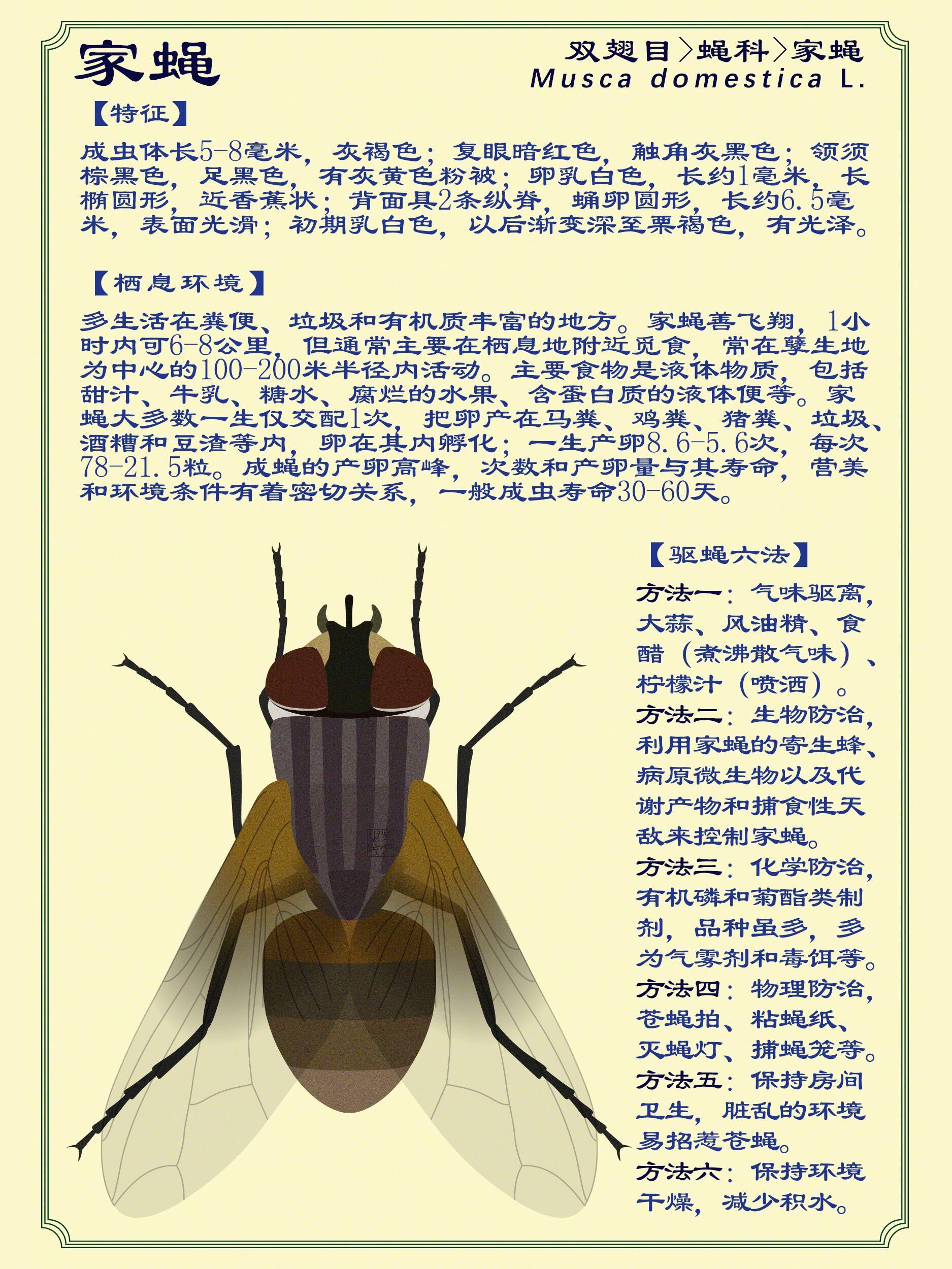 家蝇:附驱蝇六法