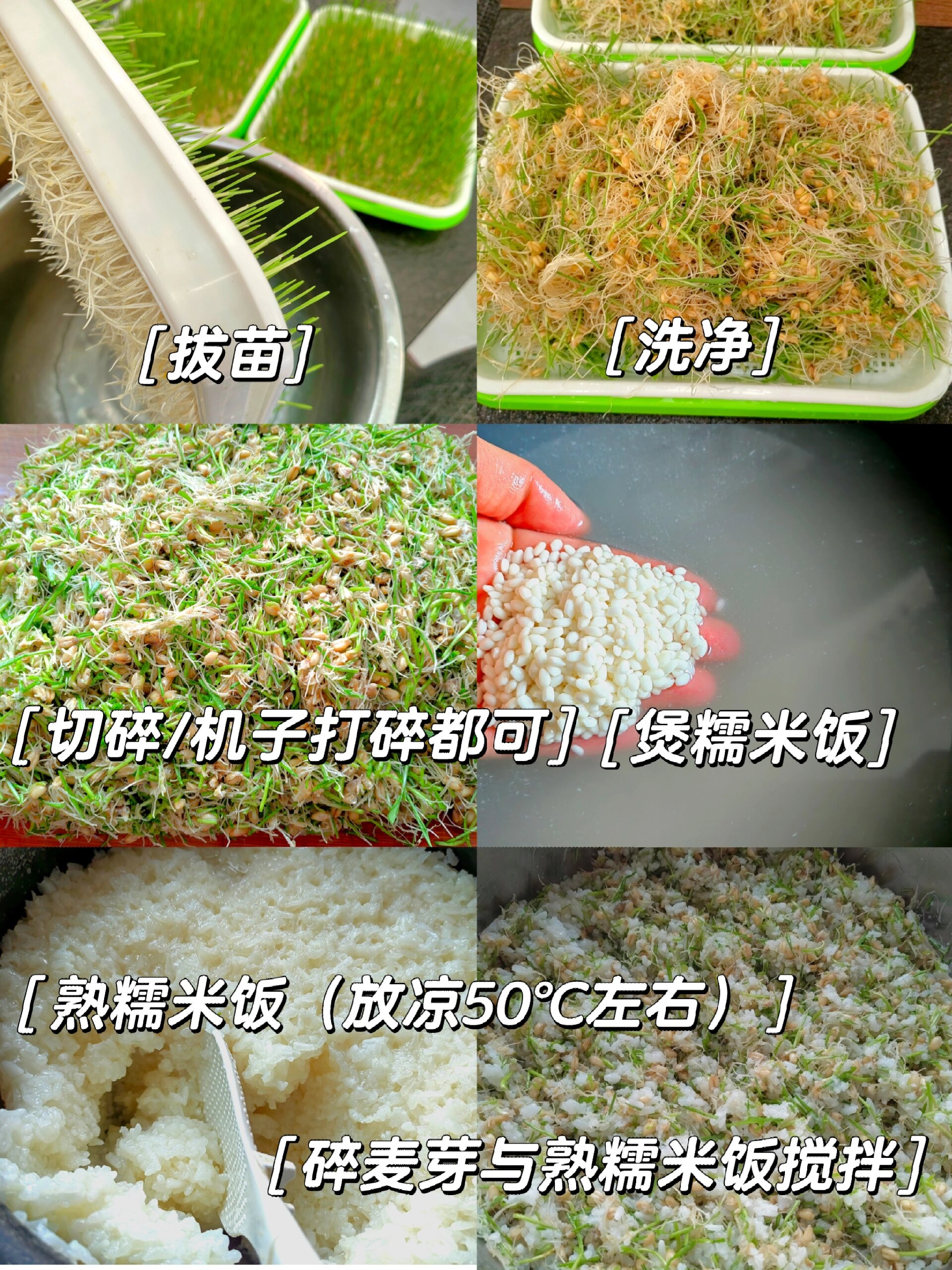 家庭版麦芽糖制作(儿时记忆中甜蜜的味道)