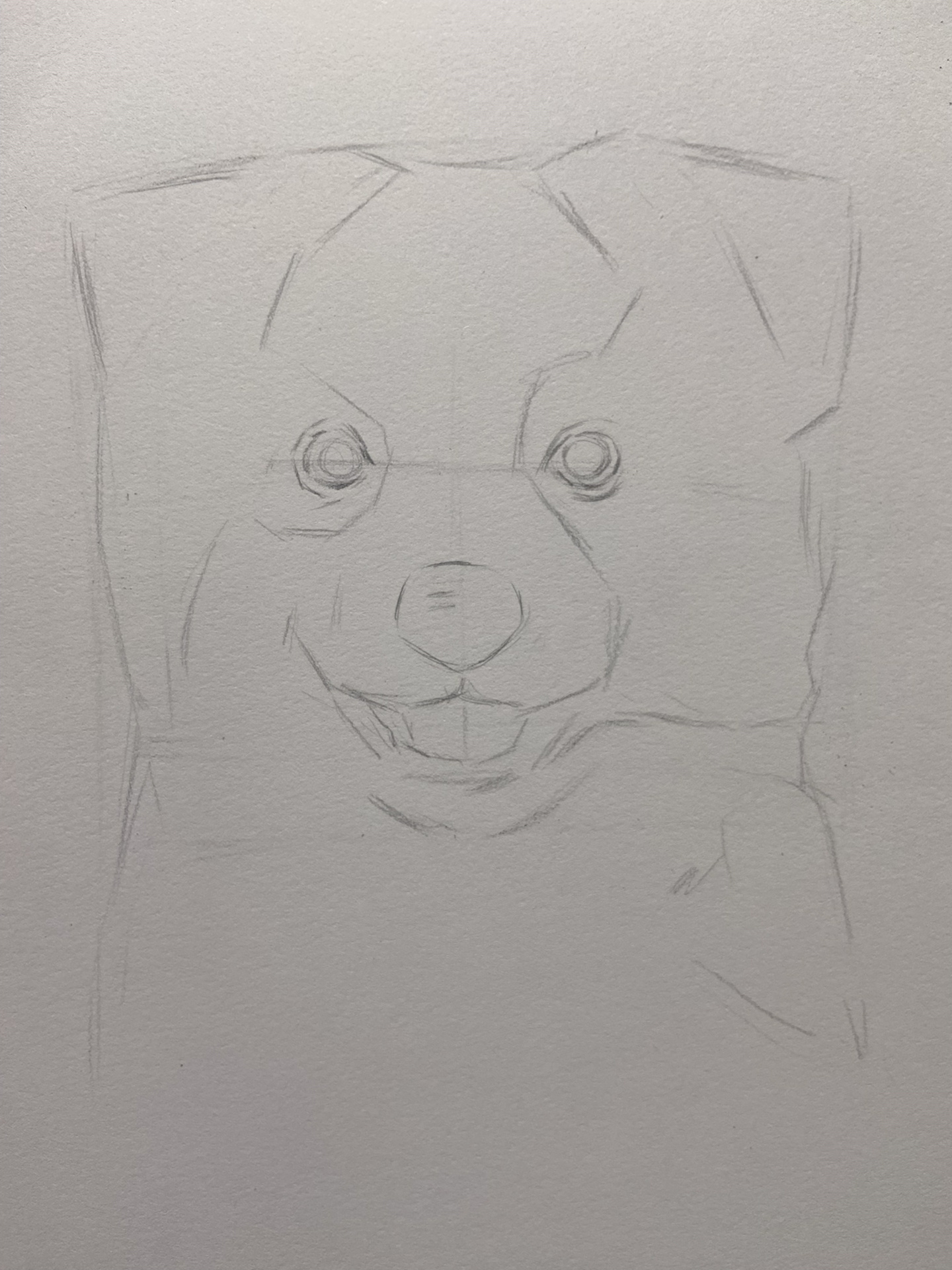 素描动物 黑白狗狗的画法