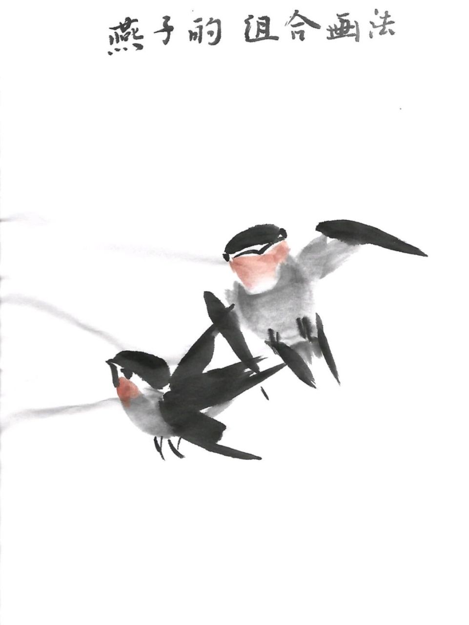 小燕子的基本画法