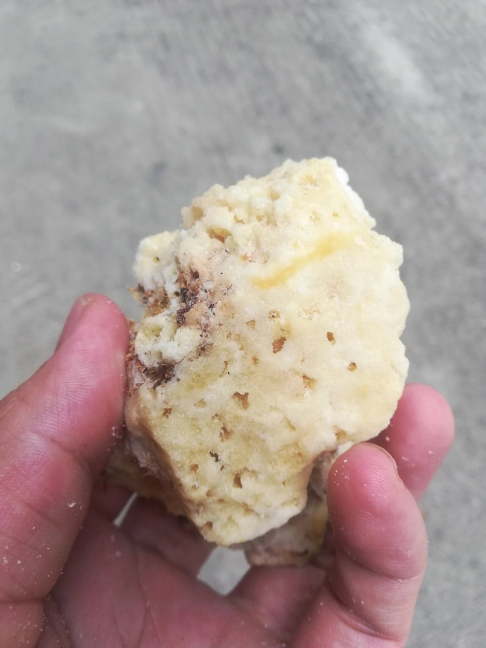 真假岩蜂蜜 图一是一朋友发过来的,她妈妈市场买的,60一两,图2,3是我