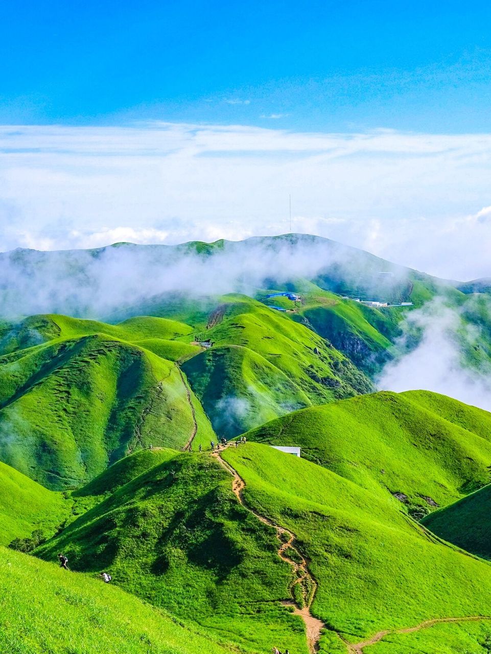 夏天!武功山最美时刻即将到来!游玩攻略 有时间总得去一次武功山吧!