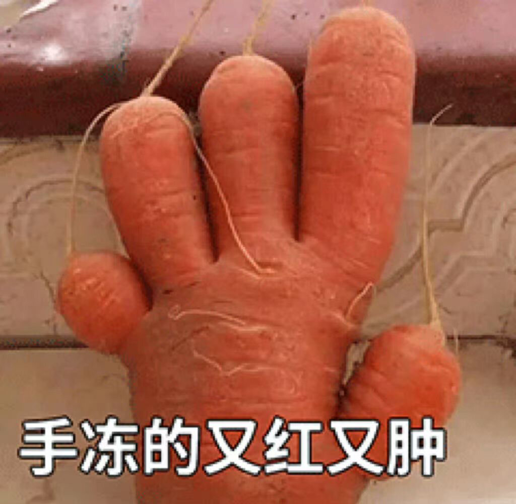 表情包/手冻僵了020202