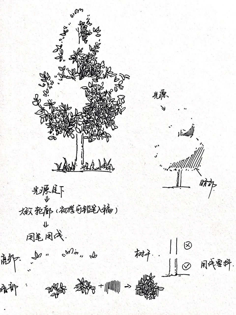 速写树教程 开学综合症要伴随我最起码一周的时间 感谢生活,依旧很忙!