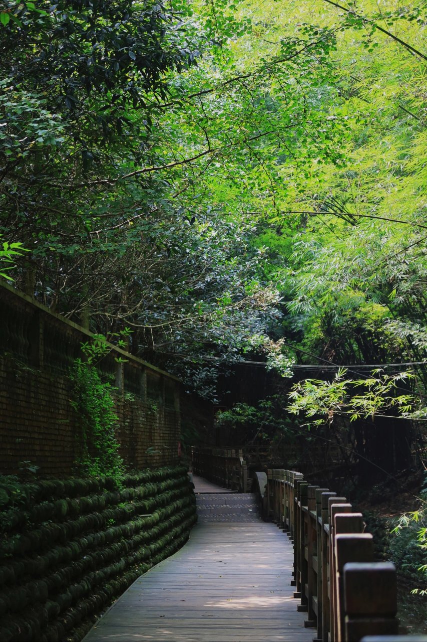 7|成都周边游玩—崇州凤栖山 我决定写一篇关于成都周边徒步崇州凤栖